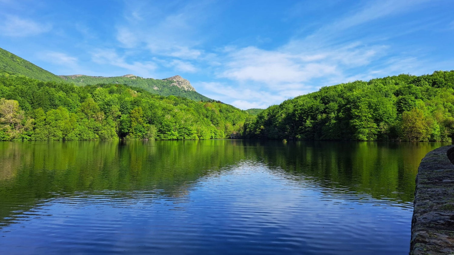 Juego de reflejos en el pantano de Santa Fe.