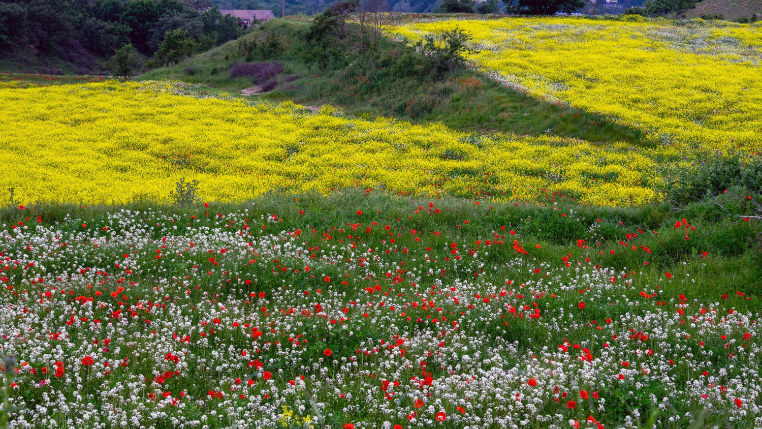 La naturaleza insuperable de Osona.