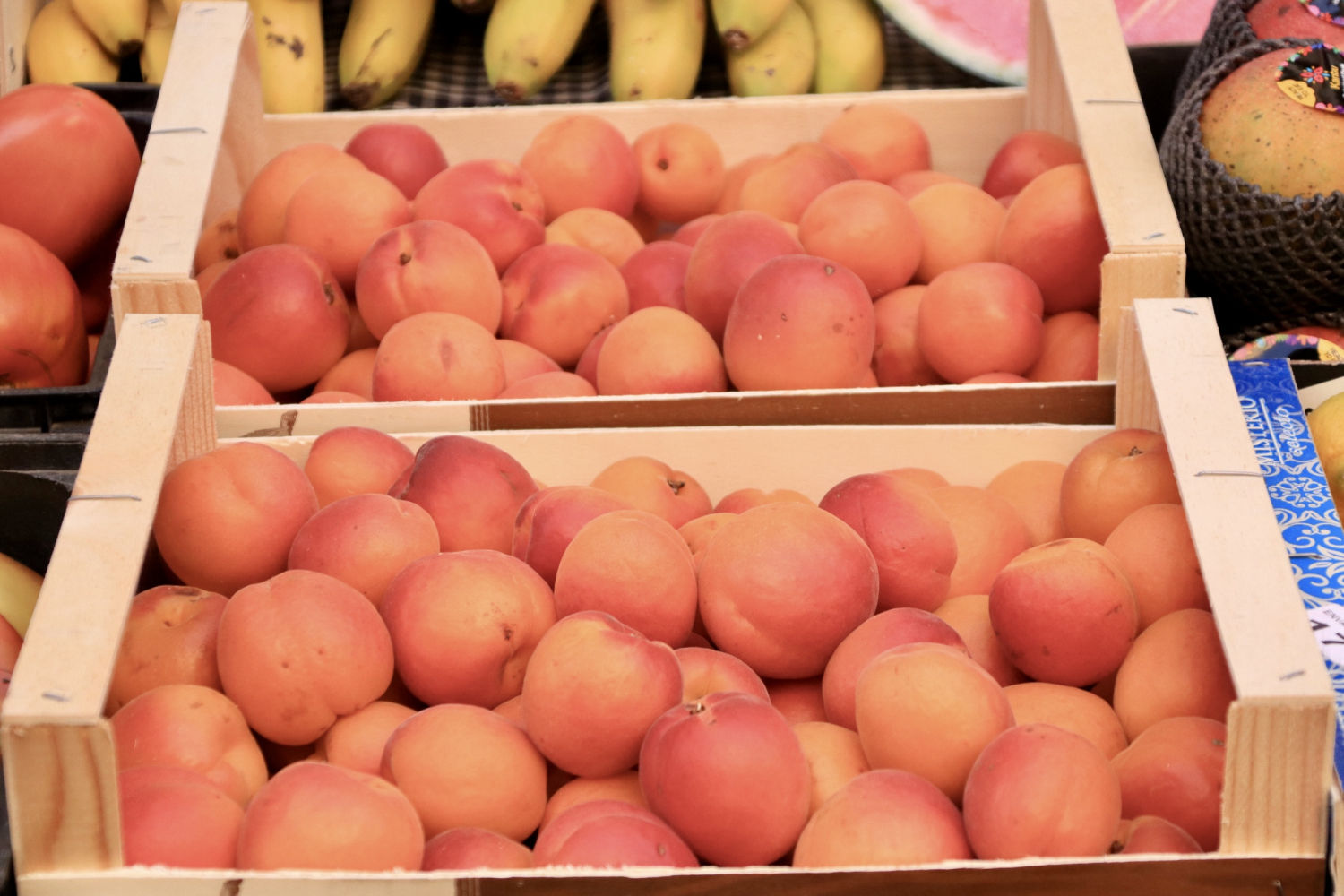 Color de la fruta bien marcado.