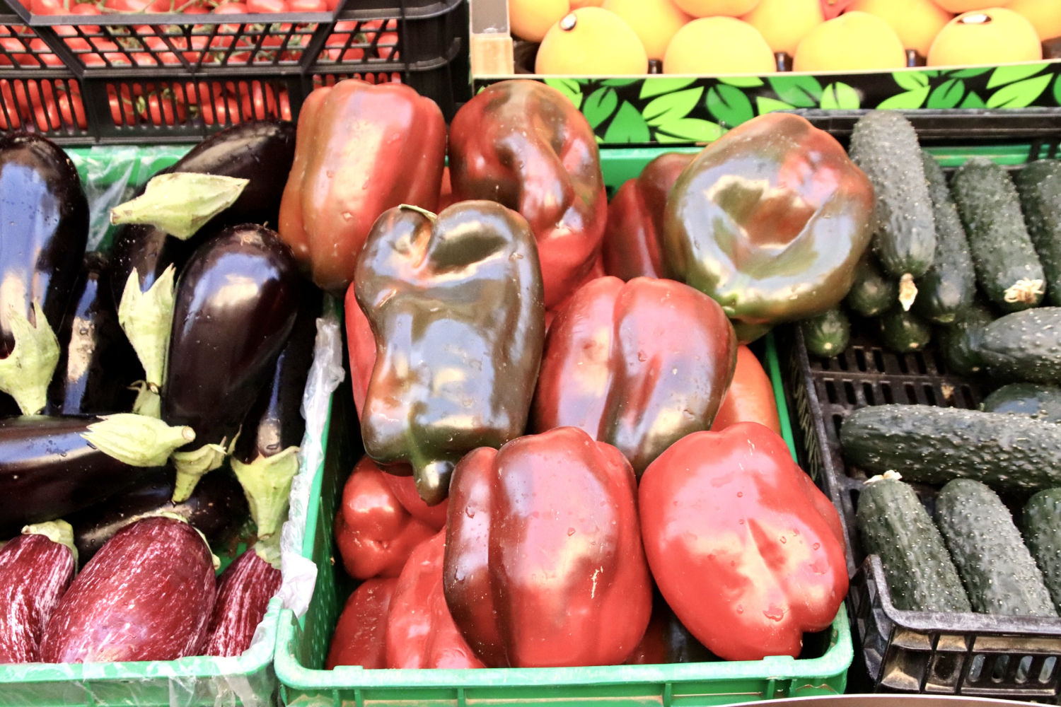 Pimientos, berenjenas y pepinos.