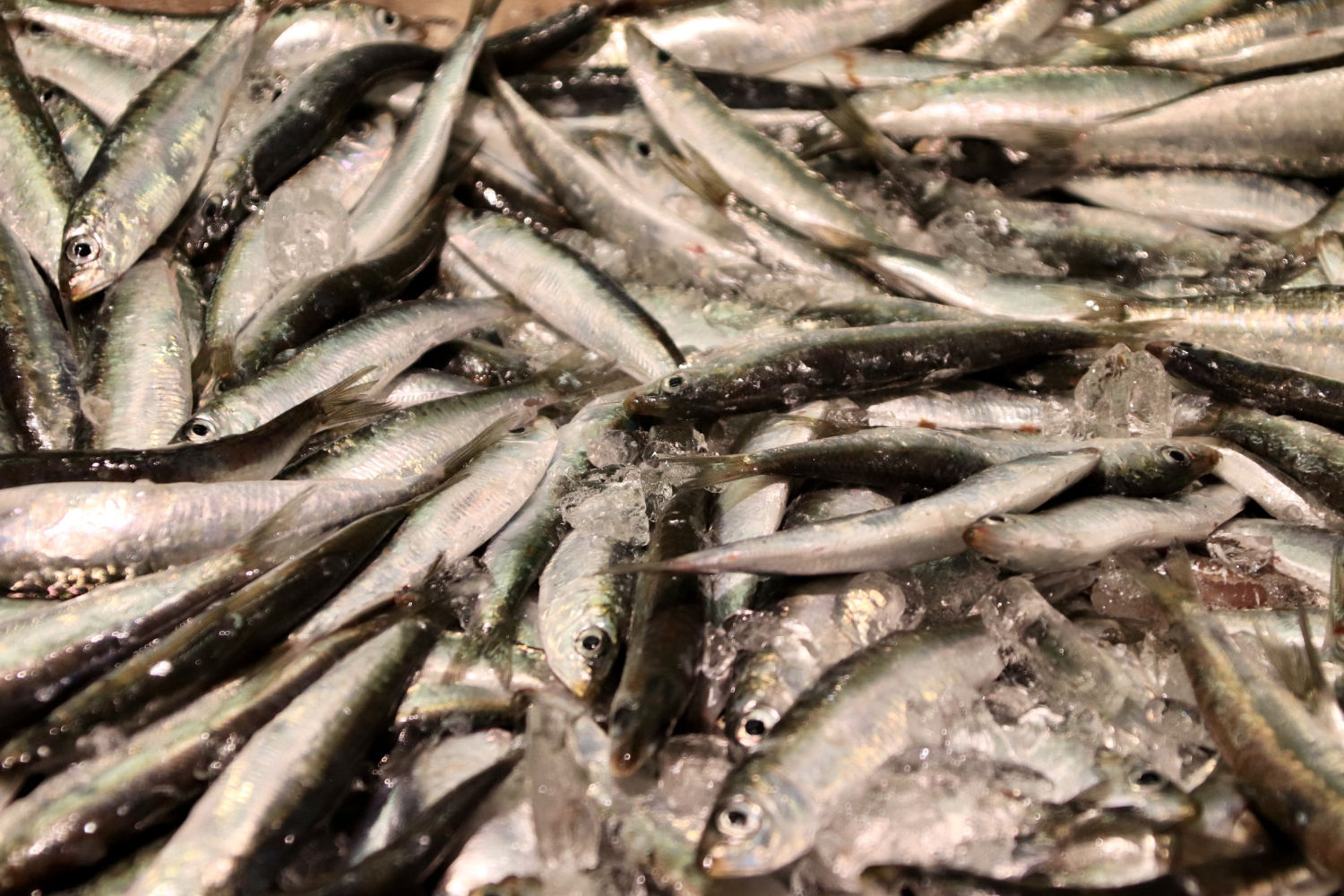 Detalle del pescadito.