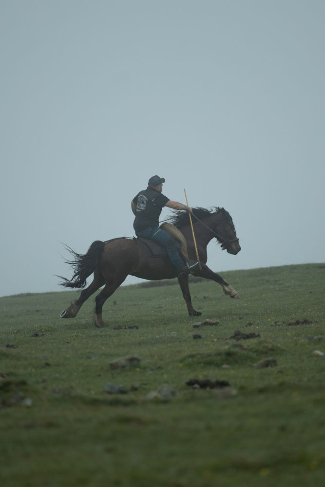 Participante en la rapa das bestas al galope.