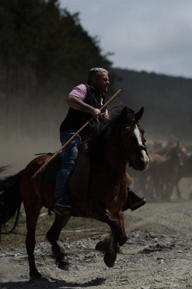 Ganadero subido a un caballo.