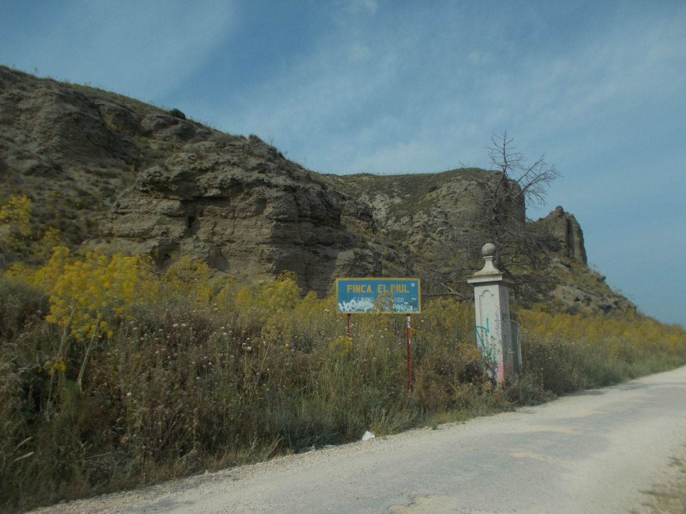Carretera de  El Piul.