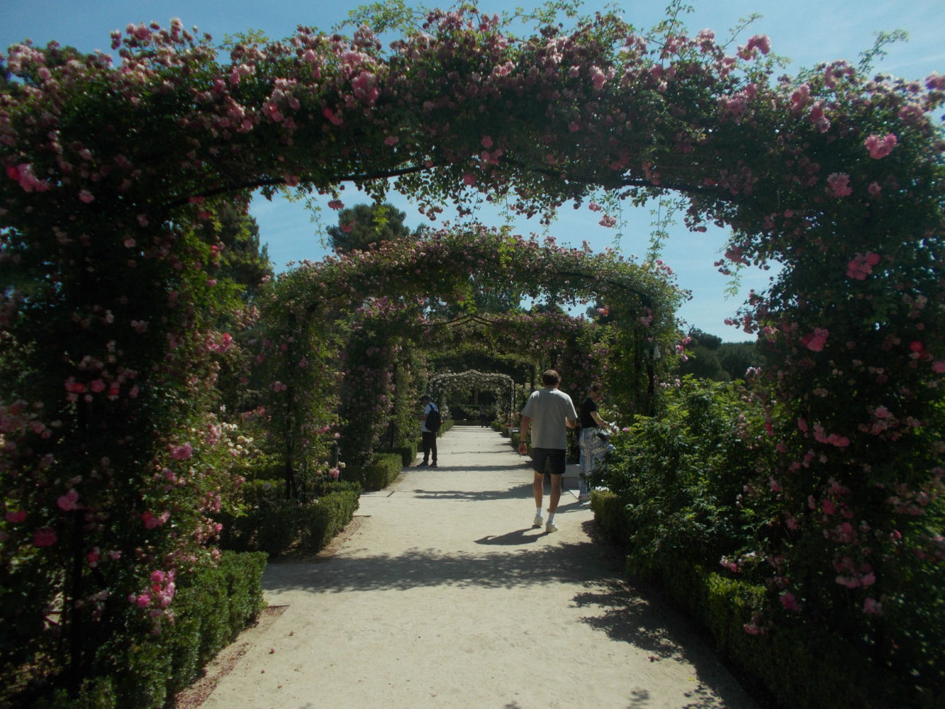 Pasaje de la rosaleda de El Retiro.