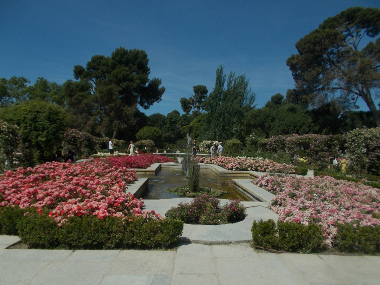 Vista de la rosaleda de El Retiro.