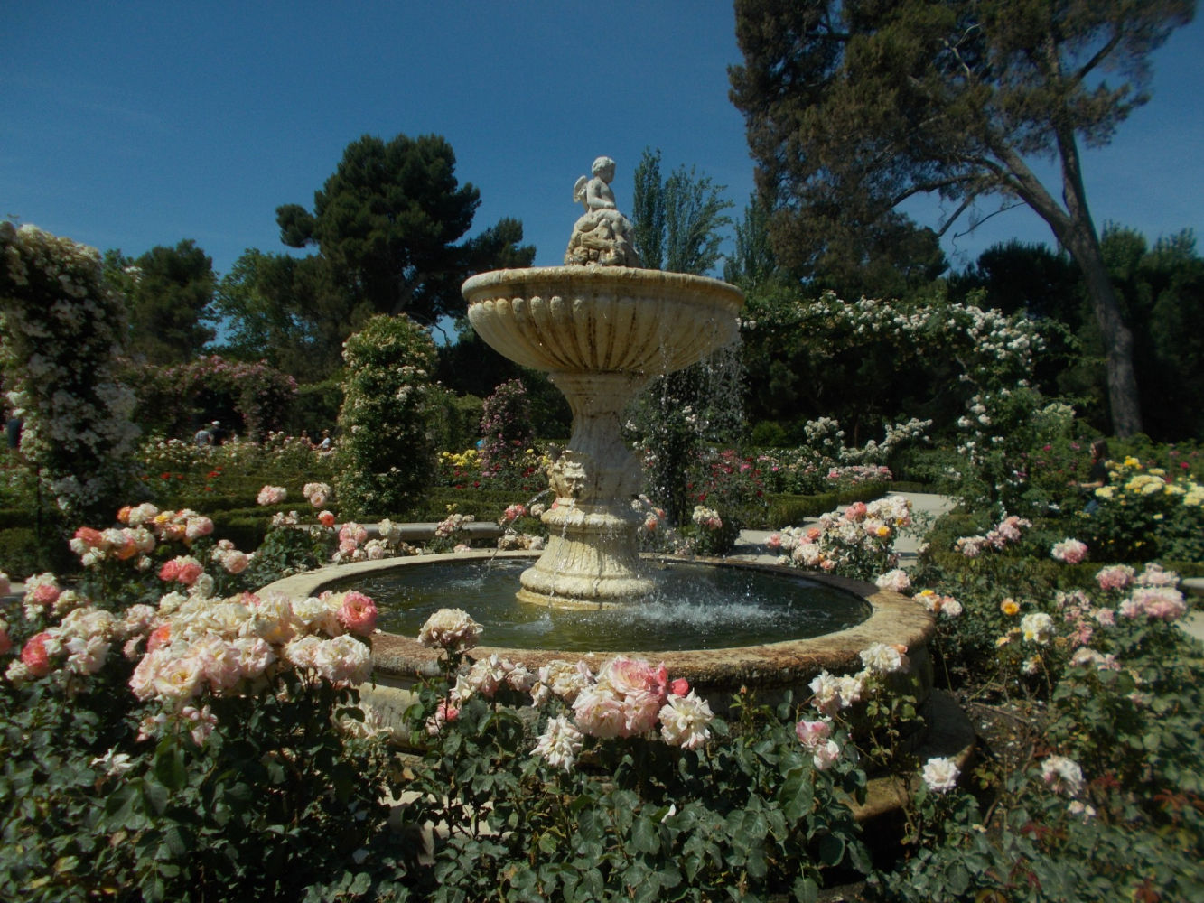 Cupido en la rosaleda de El Retiro.