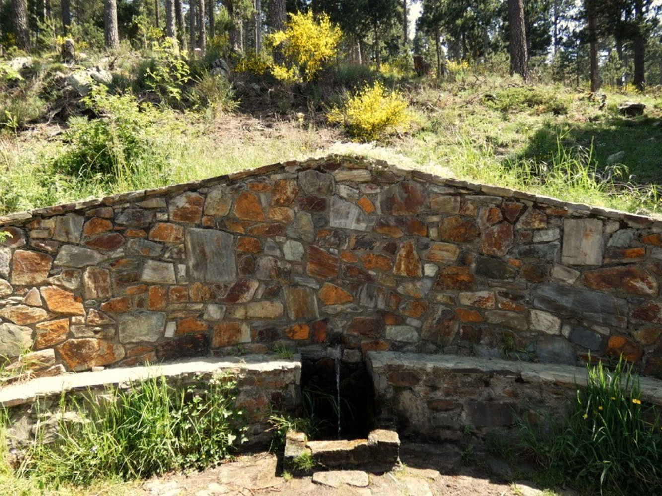 Font de l'Home Mort.