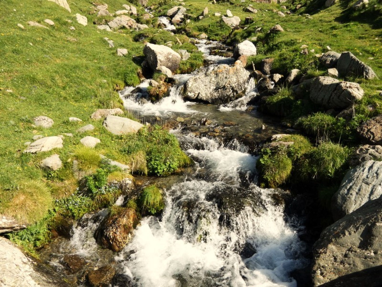 Agua fresca de montaña.