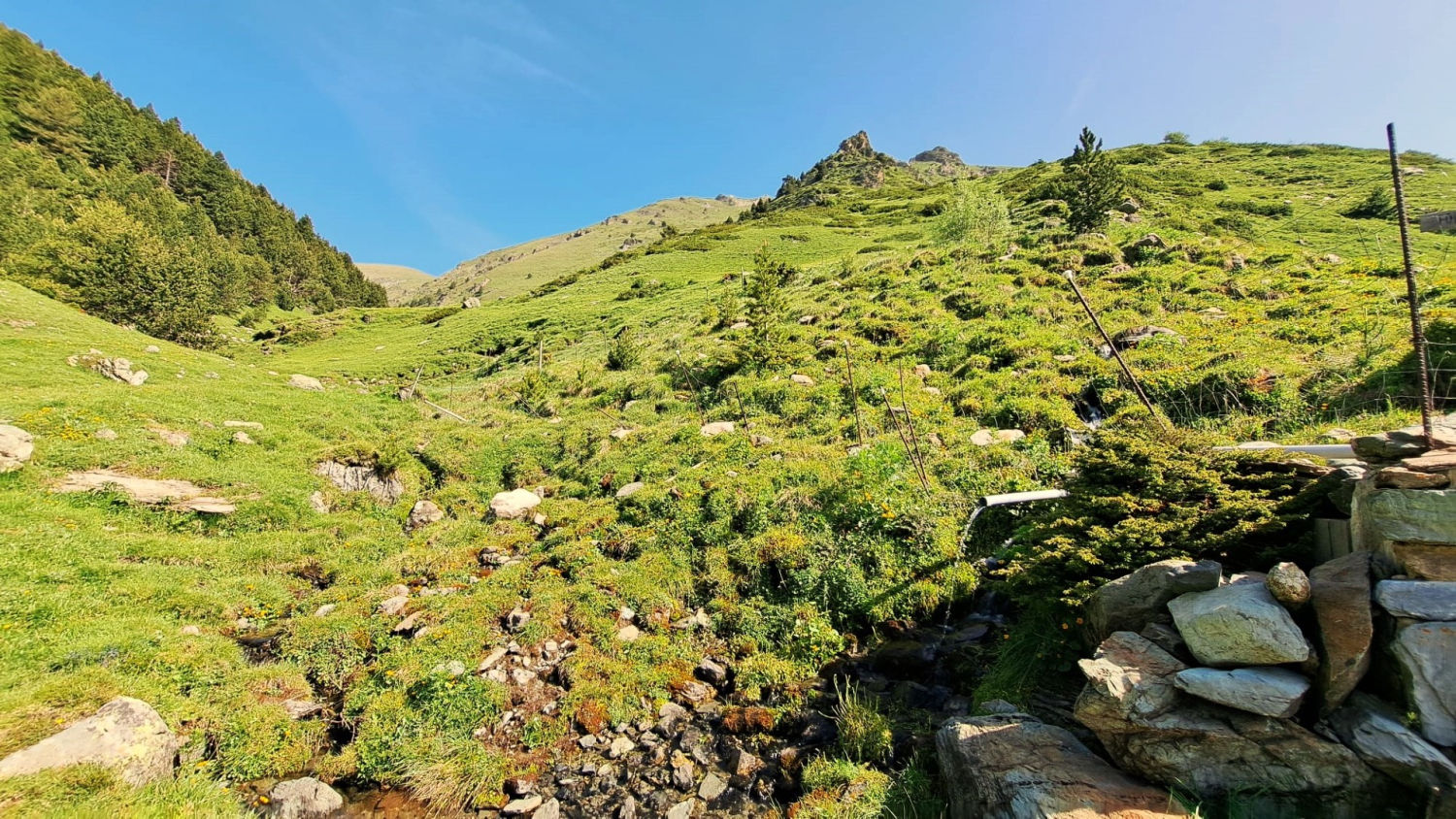 Paisaje verde de montaña.