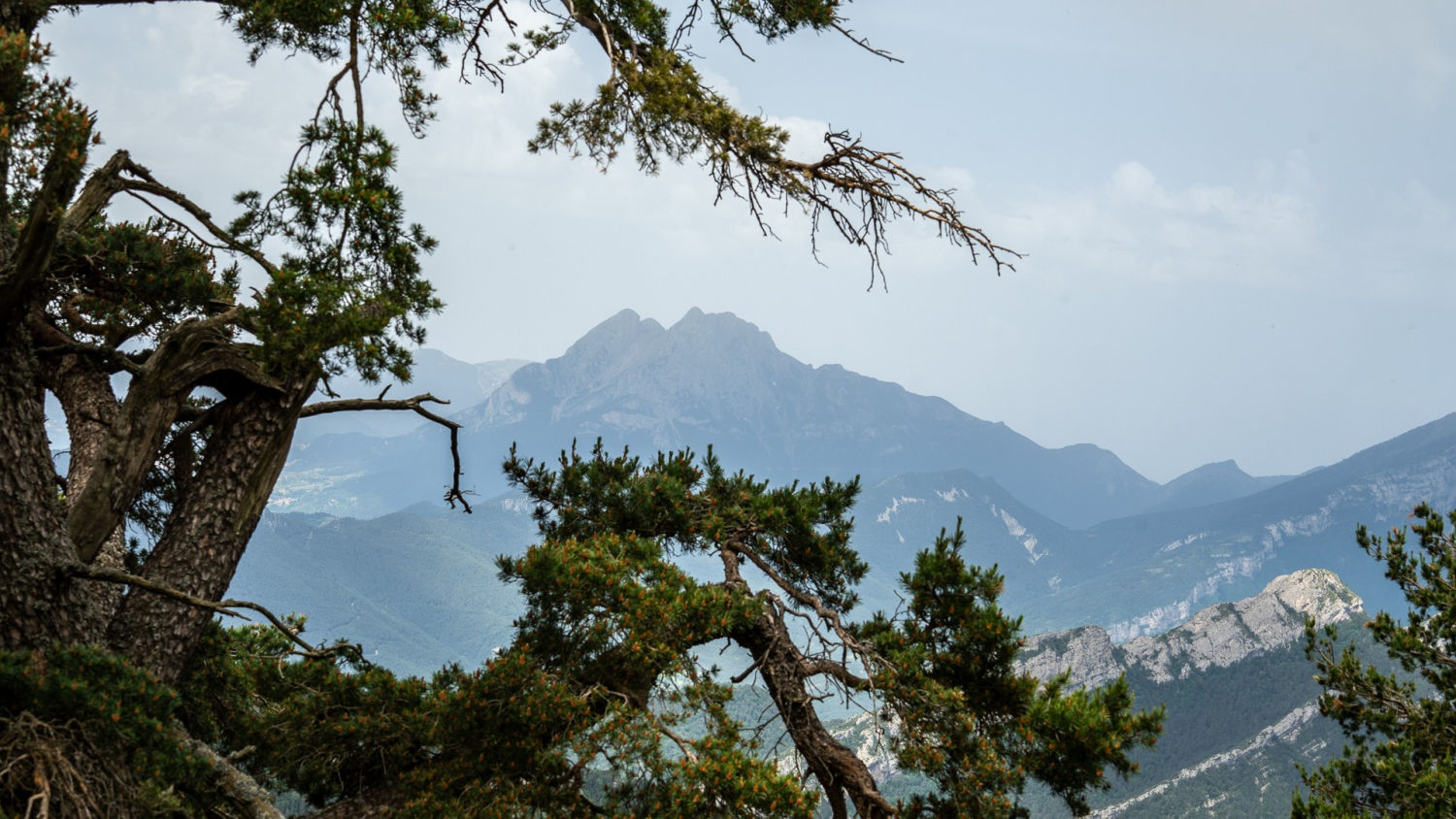 Picos del Alt Berguedà.
