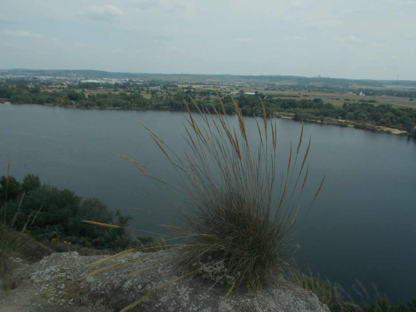 Laguna del Campillo.