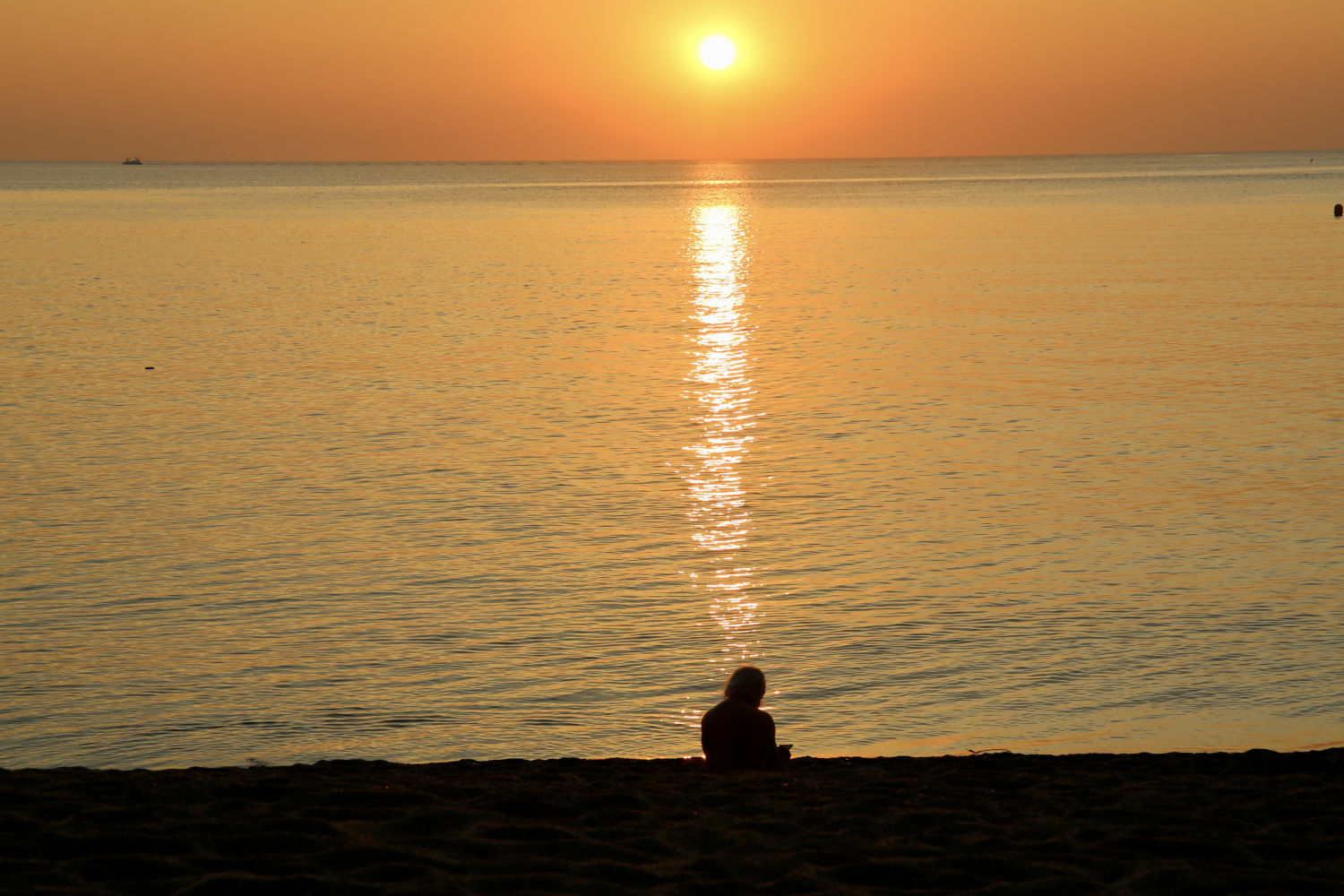 Tocada por los rayos del sol.