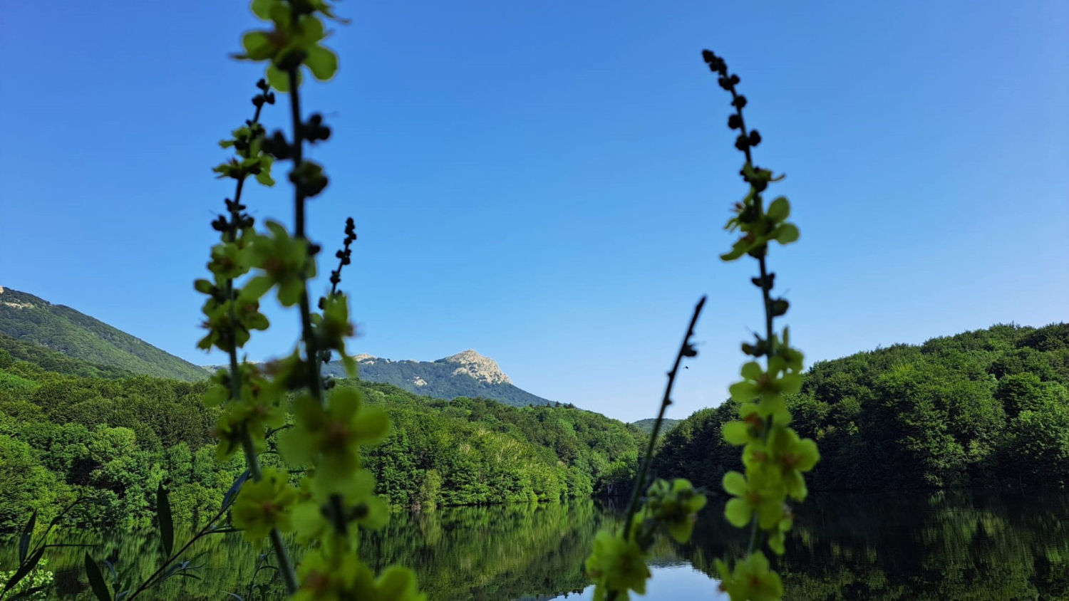 Paisaje de Santa Fe del Montseny.