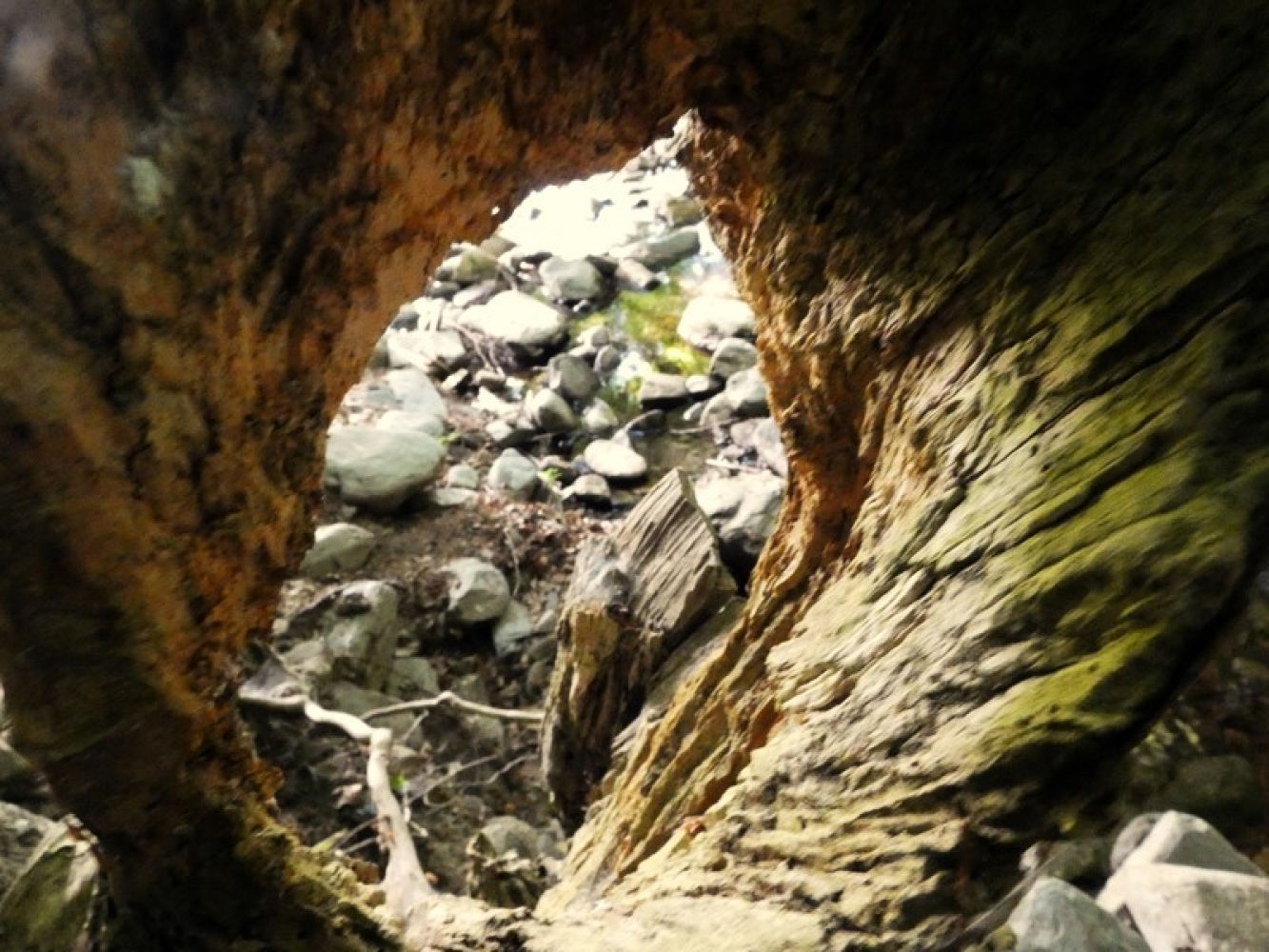 Cobijo bajo las rocas.