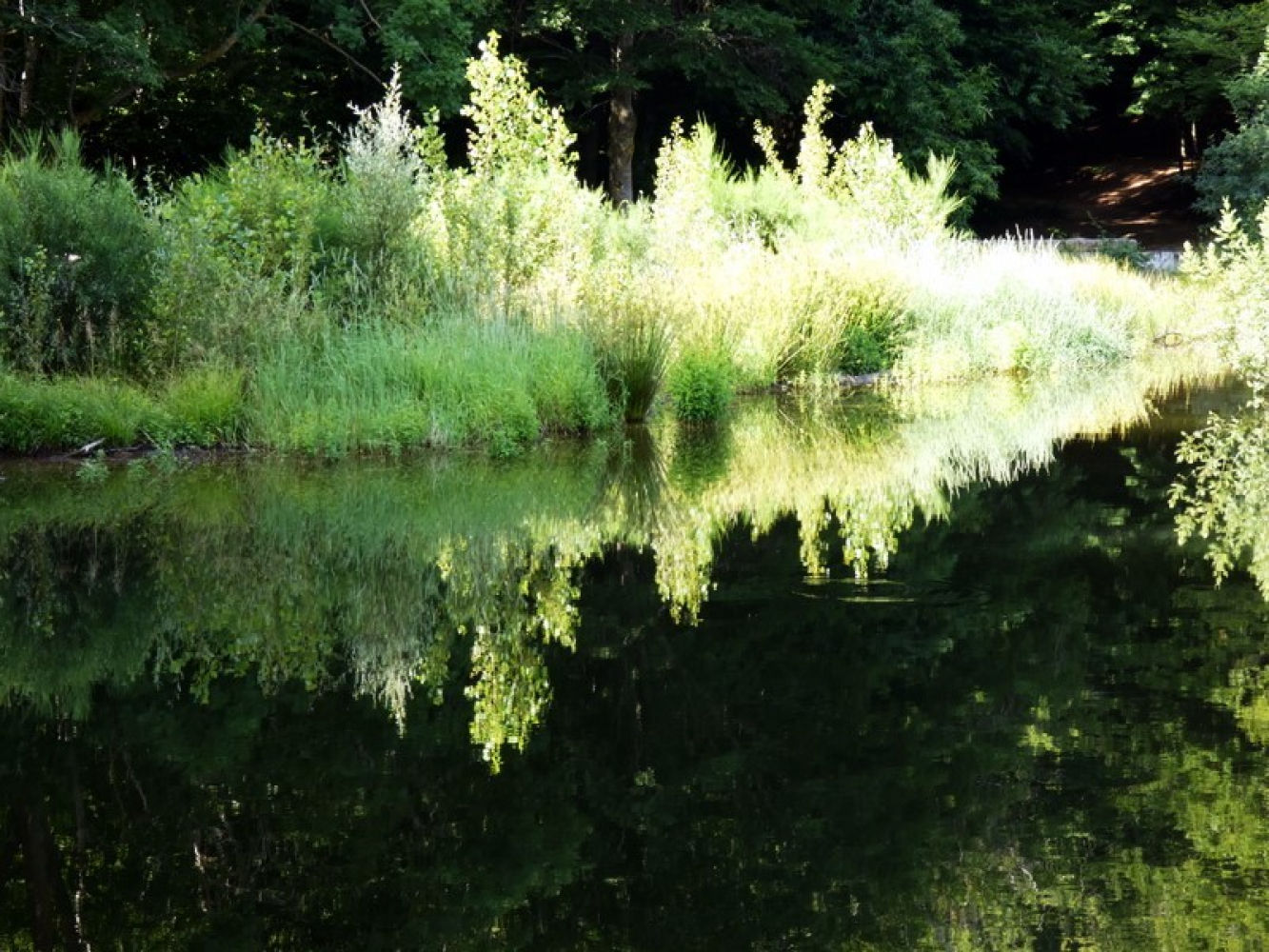 El frescor reina en Santa Fe del Montseny.