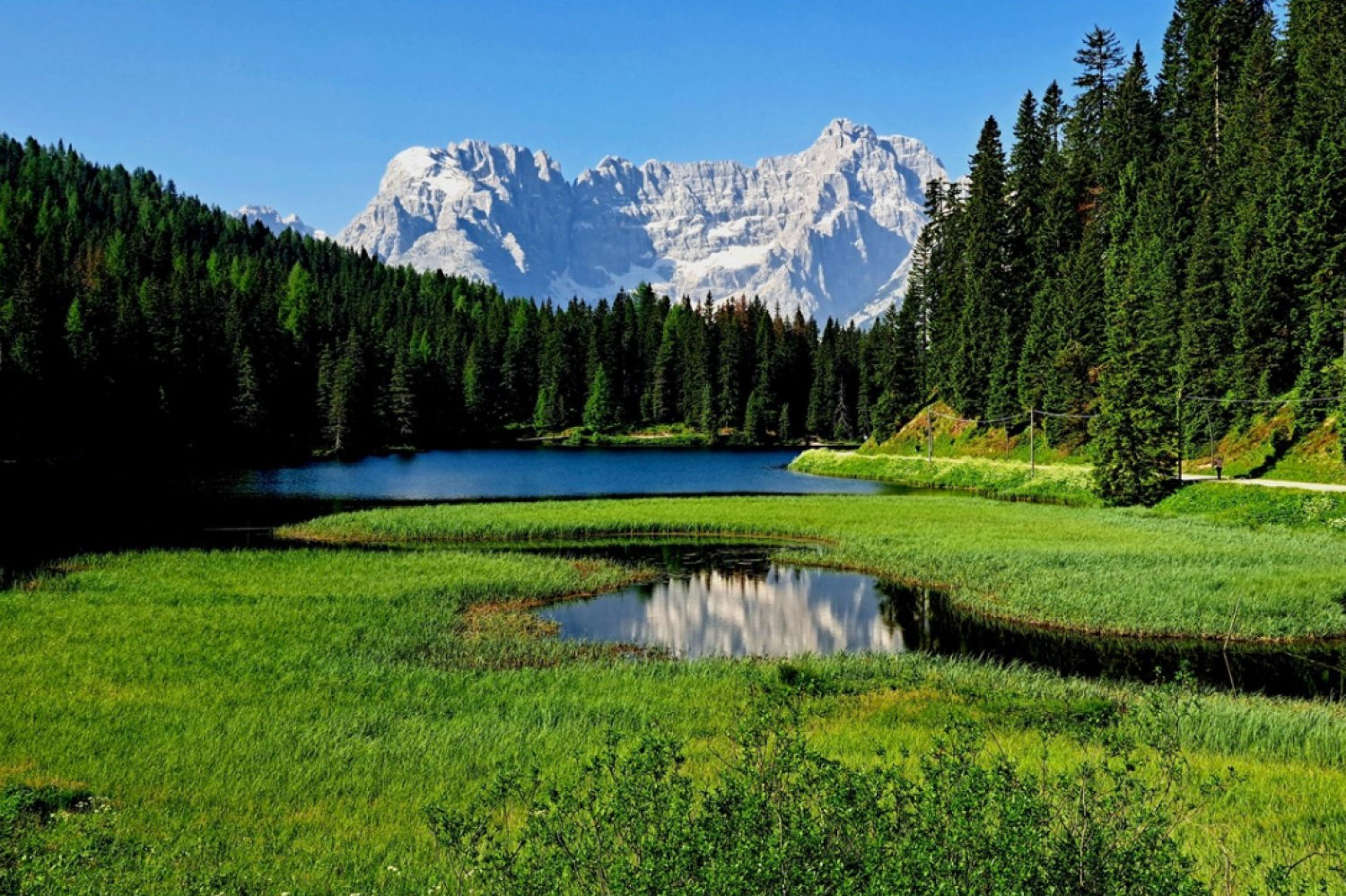 Valle verde de las Dolomitas.