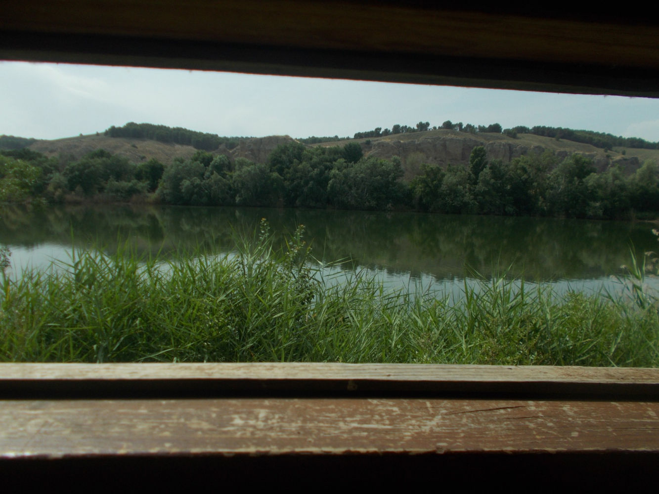 La laguna del Soto de las Juntas a través de uno de los miradores de aves, con los cortados de la Marañosa al fondo.