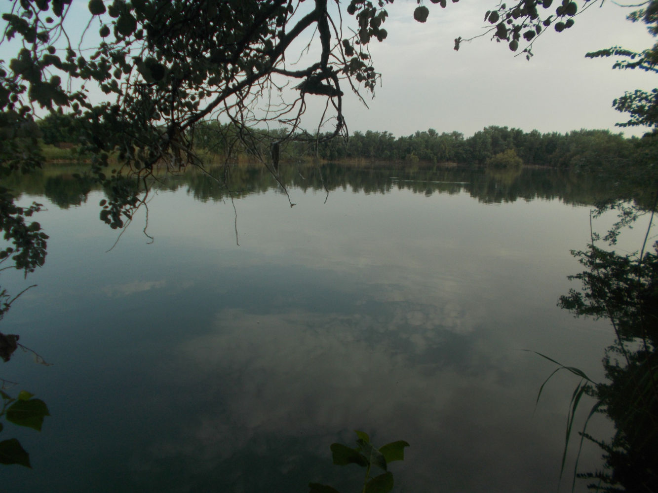 La laguna del Soto de las Juntas.