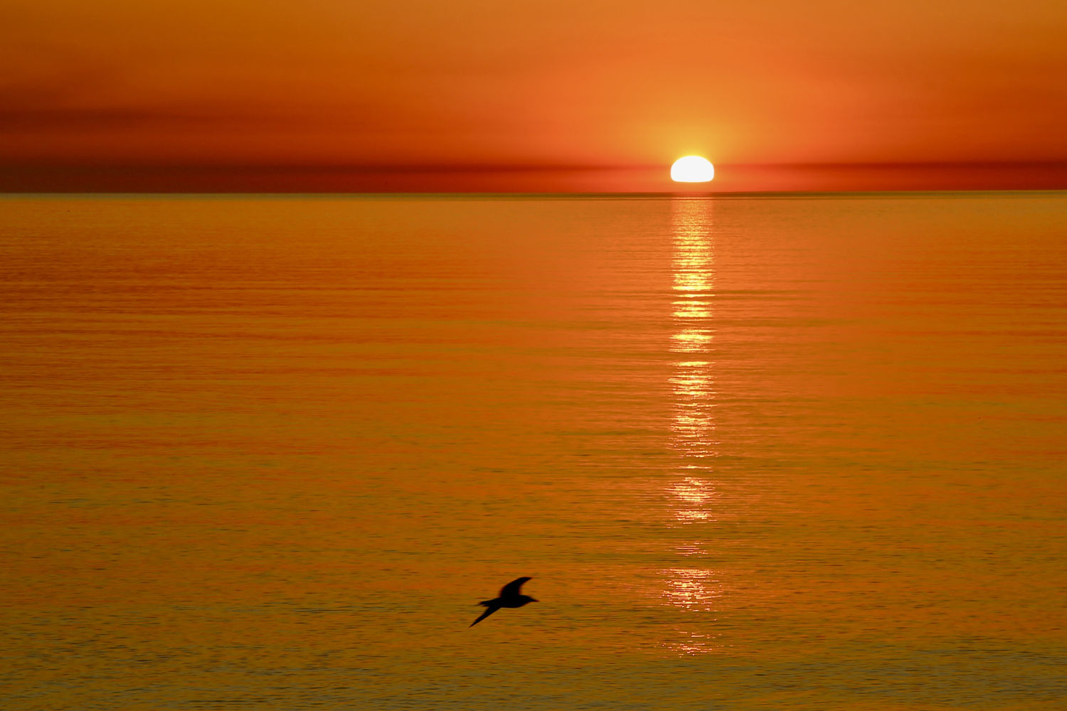 La proyección del reflejo del sol.