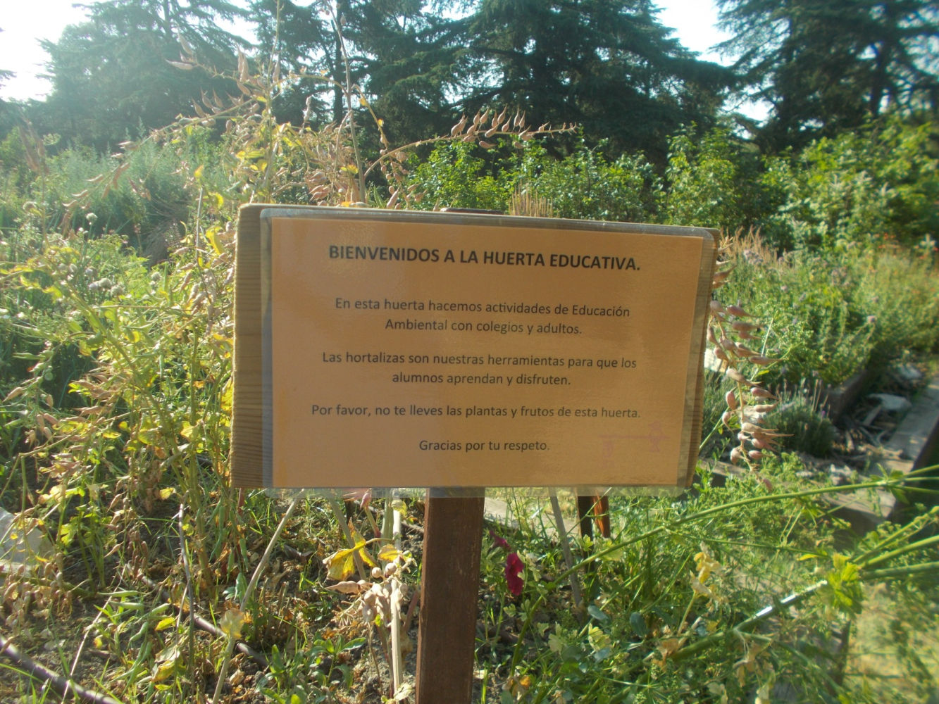 Cartel de la huerta educativa.