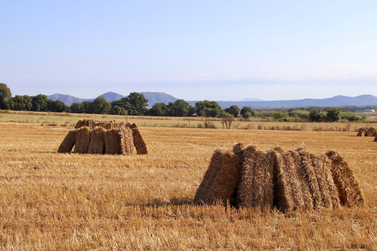 Paisaje de balas de paja con el Montgrí al fondo.