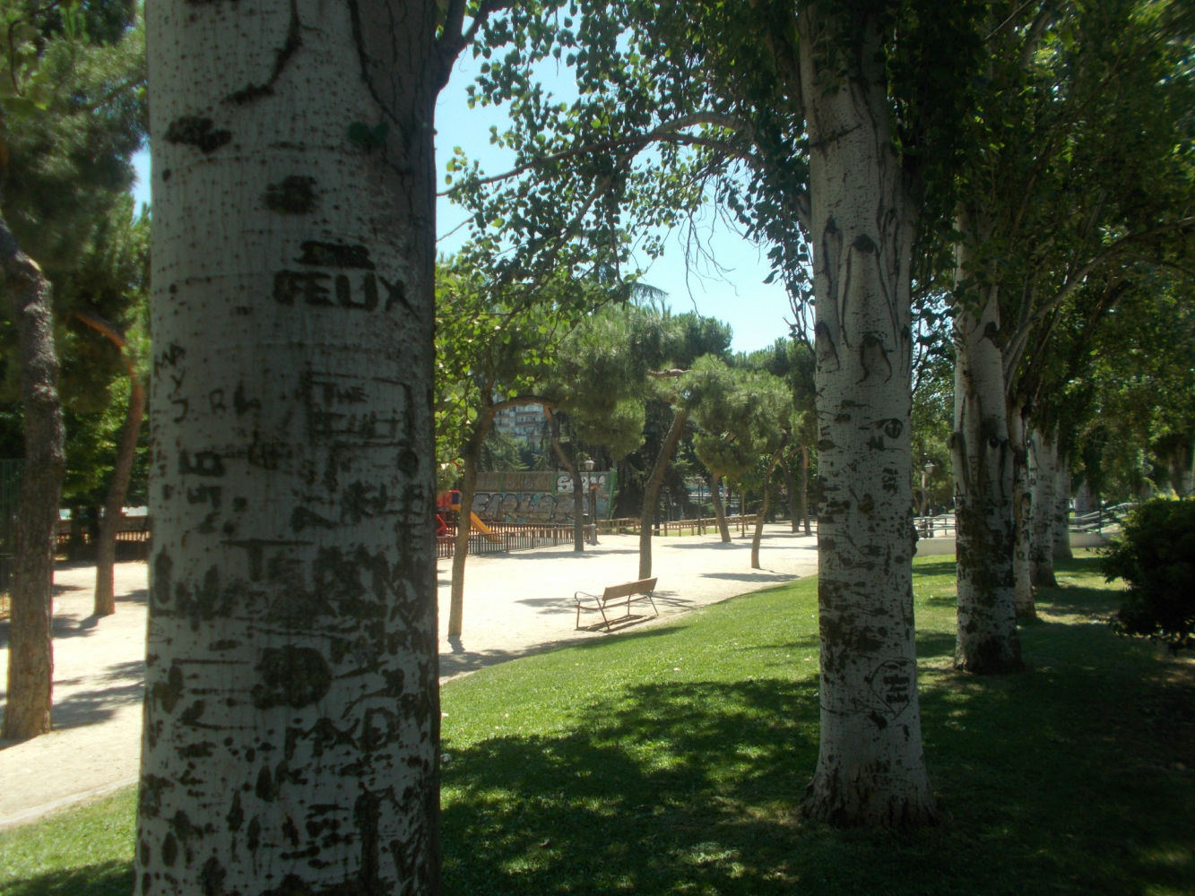 Mensajes en los chopos del parque Breogán.