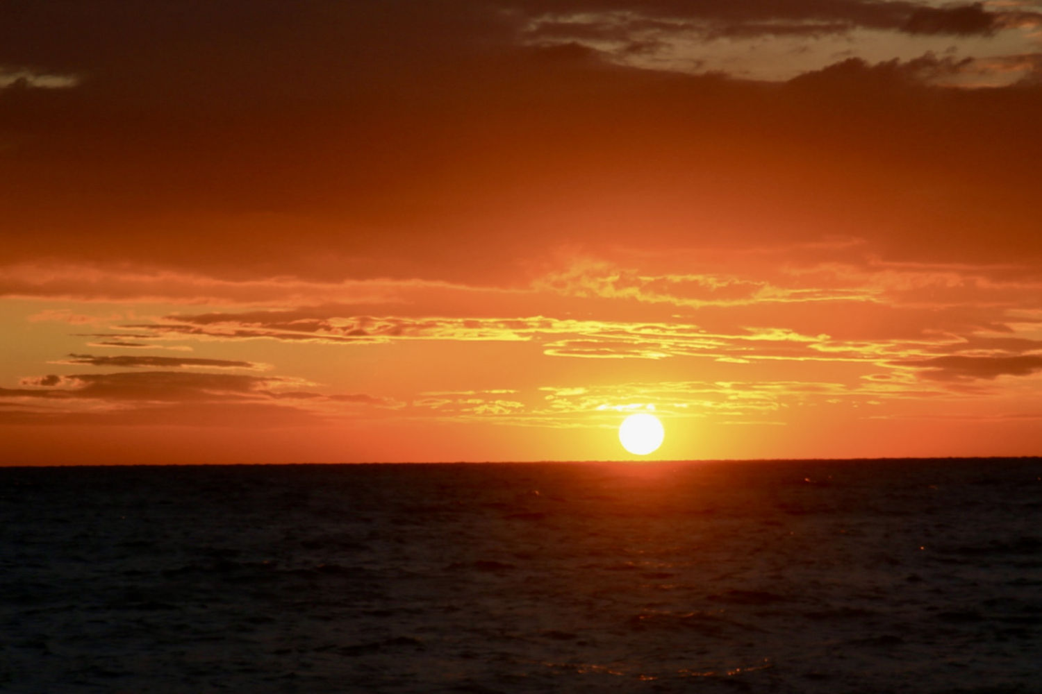 El sol saliendo al horizonte.