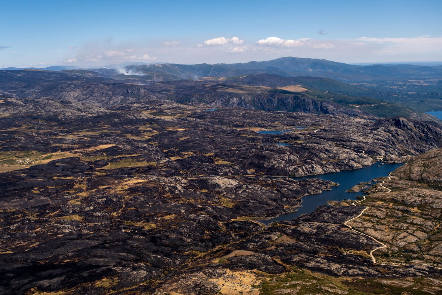 Aftermath of fires in Sanabria Lake Natural Park, the Segundera and Porto Mountain Ranges, and Cárdena Reservoir, in Zamora province.
Wildfires were in more than 20,000 hectares since August 14, after being sparked by a lightning strike from a storm.
A 16-day heatwave has exacerbated the fires that have ravaged Spain, making this summer one of the worst on record.
This is the toll of the flames in recent weeks, which have destroyed almost 400,000 hectares. Greenpeace, with the help of photographer Pedro Armestre, has documented the extent of the destruction from the air, even reaching areas that have not been photographed until now.
La presencia de una ola de calor de 16 días de duración ha agravado los incendios que han asolado España, convirtiendo este verano en uno de los peores de la historia desde que hay registros. Este es el balance de las llamas de estas últimas semanas, que han arrasado casi 400.000 hectáreas. Greenpeace, de la mano del fotógrafo Pedro Armestre, ha documentado desde el aire la magnitud de la destrucción, llegando incluso a zonas no fotografiadas hasta ahora.
Incendios de Porto: más de 20.000 hectáreas desde el pasado 14 de agosto, tras iniciarse a causa del rayo de una tormenta.