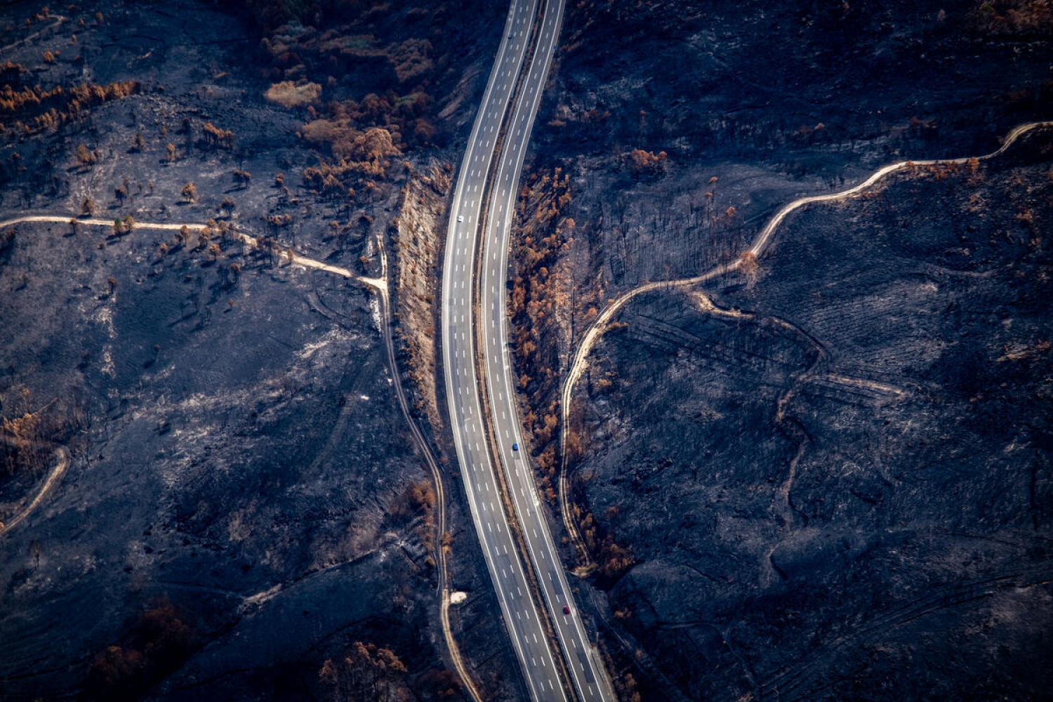 A 16-day heatwave has exacerbated the fires that have ravaged Spain, making this summer one of the worst on record.
This is the toll of the flames in recent weeks, which have destroyed almost 400,000 hectares. Greenpeace Spain, with the help of photographer Pedro Armestre, has documented the extent of the destruction from the air, even reaching areas that have not been photographed until now.
These three are not only the largest wildfires of the summer, but also among the biggest in the area’s history: Larouco (30,000 hectares), Chandrexa de Queixa and Vilariño de Conso (19,000 hectares), and Oímbra and Xinzo de Limia (17,000 hectares).”
La presencia de una ola de calor de 16 días de duración ha agravado los incendios que han asolado España, convirtiendo este verano en uno de los peores de la historia desde que hay registros. Este es el balance de las llamas de estas últimas semanas, que han arrasado casi 400.000 hectáreas. Greenpeace, de la mano del fotógrafo Pedro Armestre, ha documentado desde el aire la magnitud de la destrucción, llegando incluso a zonas no fotografiadas hasta ahora.
Estos tres son los mayores fuegos del verano y también de la historia de la Comunidad: Larouco (30.000 hectáreas), Chandrexa de Queixa y Vilariño de Conso (19.000 hectáreas) y Oímbra y Xinzo de Limia (17.000 hectáreas).