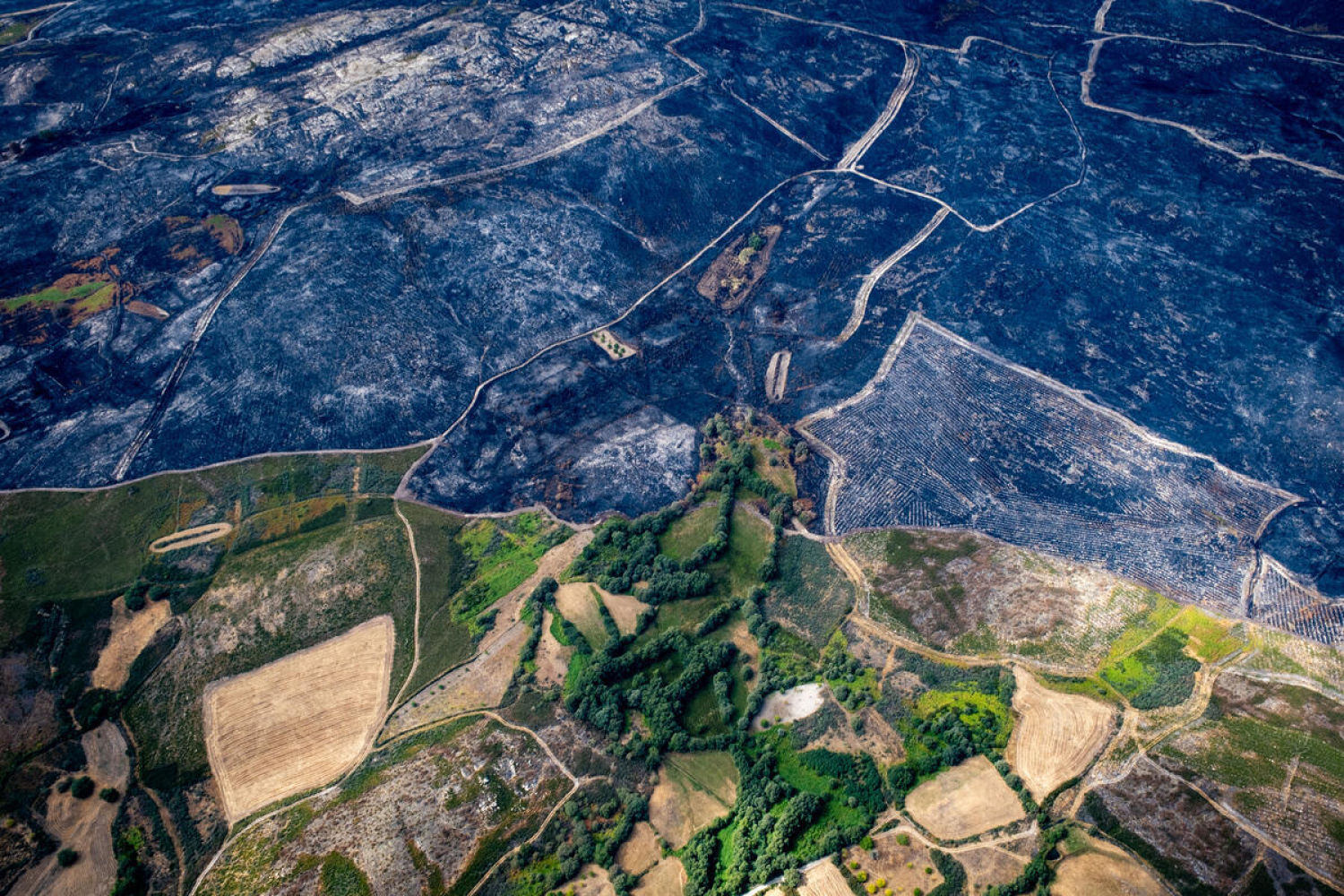 A 16-day heatwave has exacerbated the fires that have ravaged Spain, making this summer one of the worst on record.
This is the toll of the flames in recent weeks, which have destroyed almost 400,000 hectares. Greenpeace Spain, with the help of photographer Pedro Armestre, has documented the extent of the destruction from the air, even reaching areas that have not been photographed until now.
These three are not only the largest wildfires of the summer, but also among the biggest in the area’s history: Larouco (30,000 hectares), Chandrexa de Queixa and Vilariño de Conso (19,000 hectares), and Oímbra and Xinzo de Limia (17,000 hectares).”
La presencia de una ola de calor de 16 días de duración ha agravado los incendios que han asolado España, convirtiendo este verano en uno de los peores de la historia desde que hay registros. Este es el balance de las llamas de estas últimas semanas, que han arrasado casi 400.000 hectáreas. Greenpeace, de la mano del fotógrafo Pedro Armestre, ha documentado desde el aire la magnitud de la destrucción, llegando incluso a zonas no fotografiadas hasta ahora.
Estos tres son los mayores fuegos del verano y también de la historia de la Comunidad: Larouco (30.000 hectáreas), Chandrexa de Queixa y Vilariño de Conso (19.000 hectáreas) y Oímbra y Xinzo de Limia (17.000 hectáreas).