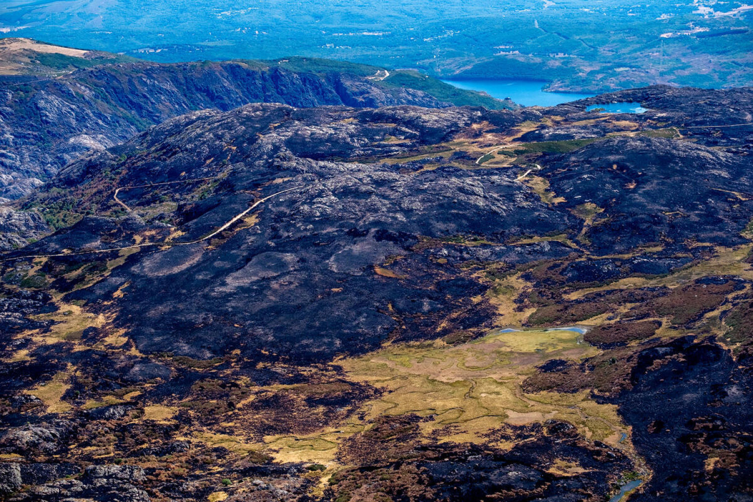 A 16-day heatwave has exacerbated the fires that have ravaged Spain, making this summer one of the worst on record.
This is the toll of the flames in recent weeks, which have destroyed almost 400,000 hectares. Greenpeace Spain, with the help of photographer Pedro Armestre, has documented the extent of the destruction from the air, even reaching areas that have not been photographed until now.
These three are not only the largest wildfires of the summer, but also among the biggest in the area’s history: Larouco (30,000 hectares), Chandrexa de Queixa and Vilariño de Conso (19,000 hectares), and Oímbra and Xinzo de Limia (17,000 hectares).”
La presencia de una ola de calor de 16 días de duración ha agravado los incendios que han asolado España, convirtiendo este verano en uno de los peores de la historia desde que hay registros. Este es el balance de las llamas de estas últimas semanas, que han arrasado casi 400.000 hectáreas. Greenpeace, de la mano del fotógrafo Pedro Armestre, ha documentado desde el aire la magnitud de la destrucción, llegando incluso a zonas no fotografiadas hasta ahora.
Estos tres son los mayores fuegos del verano y también de la historia de la Comunidad: Larouco (30.000 hectáreas), Chandrexa de Queixa y Vilariño de Conso (19.000 hectáreas) y Oímbra y Xinzo de Limia (17.000 hectáreas).