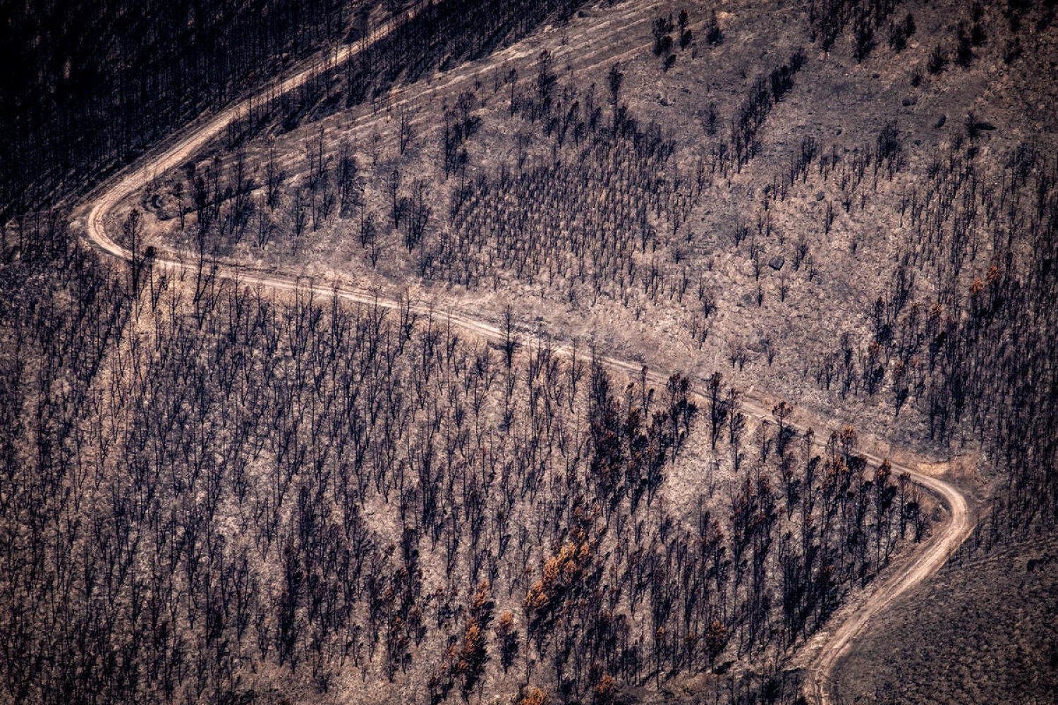 A 16-day heatwave has exacerbated the fires that have ravaged Spain, making this summer one of the worst on record.
This is the toll of the flames in recent weeks, which have destroyed almost 400,000 hectares. Greenpeace, with the help of photographer Pedro Armestre, has documented the extent of the destruction from the air, even reaching areas that have not been photographed until now.
El incendio de Larouco, parroquia de Seadur. Se trata del mayor fuego de la historia de Galicia desde que hay registros: ha arrasado más de 30.000 hectáreas.
El incendio forestal originado en la localidad ourensana de Laroucio ha estado extendiéndose en las últimas semanas, traspasando la frontera natural del río Sil la semana anterior para adentrarse en el ayuntamiento lucense de Quiroga, así como por zonas limítrofes con Galicia de la provincia de León.
El terreno montañoso por el que se han adentrado las llamas ha dificultado la intervención de los servicios de extinción. En su expansión, el incendio ha llegado a los límites de la sierra de O Courel, un espacio de alto valor ecológico y ambiental, incluido en la Red Natura 2000 y designado como geoparque mundial por la Unesco, según EFE.
La presencia de una ola de calor de 16 días de duración ha agravado los incendios que han asolado España, convirtiendo este verano en uno de los peores de la historia desde que hay registros. Este es el balance de las llamas de estas últimas semanas, que han arrasado casi 400.000 hectáreas. Greenpeace, de la mano del fotógrafo Pedro Armestre, ha documentado desde el aire la magnitud de la destrucción, llegando incluso a zonas no fotografiadas hasta ahora.
El incendio de Larouco, parroquia de Seadur. Se trata del mayor fuego de la historia de Galicia desde que hay registros: ha arrasado más de 30.000 hectáreas.
El incendio forestal originado en la localidad ourensana de Laroucio ha estado extendiéndose en las últimas semanas, traspasando la frontera natural del río