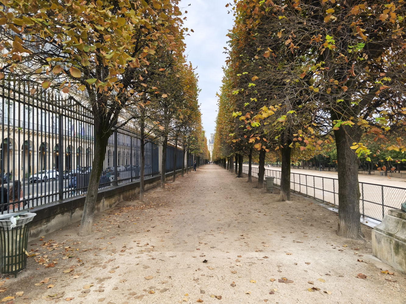 Paseo arbolado en los Jardines de las Tullerías de París.