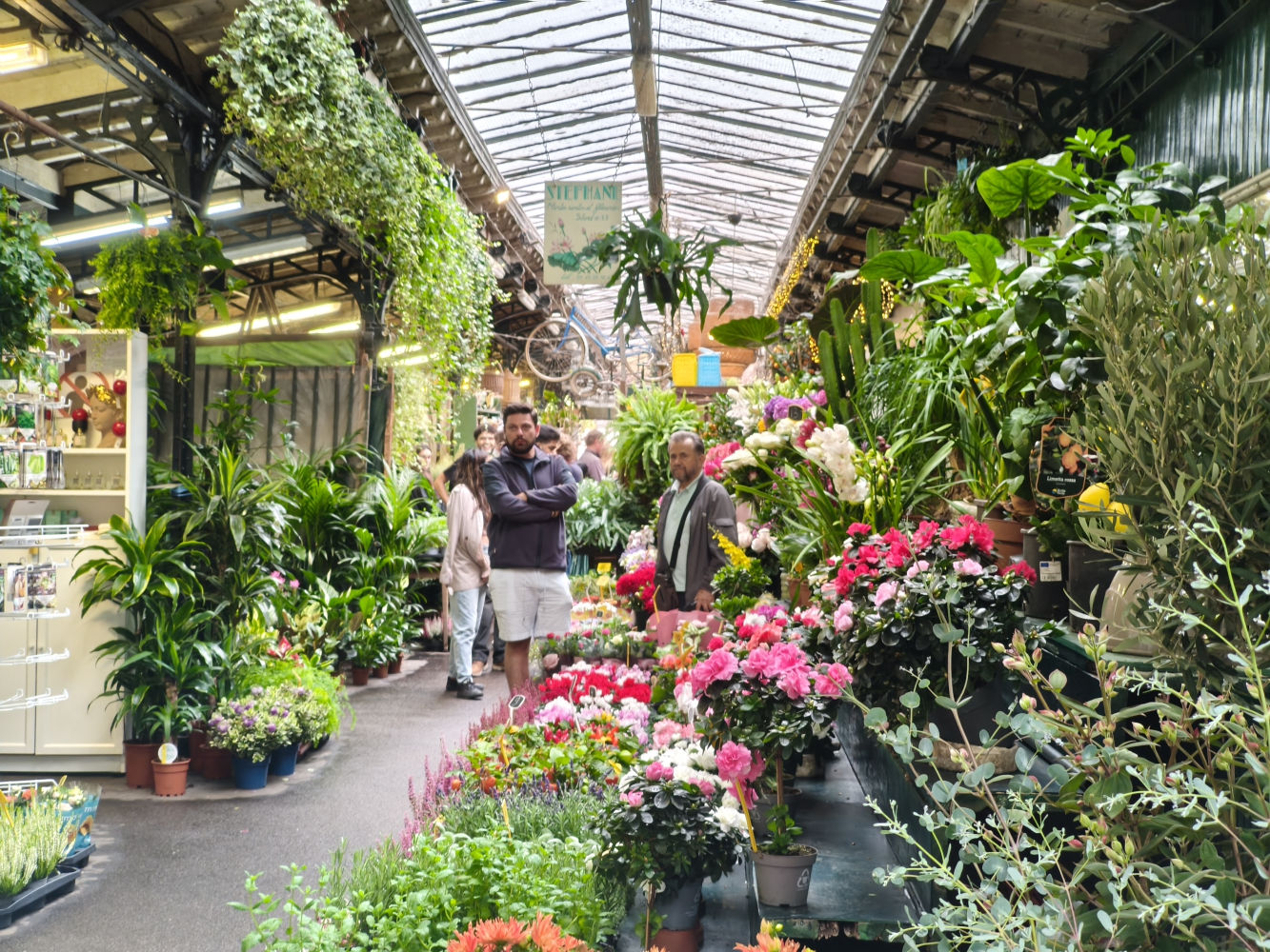 Mercado de floristas parisino, cerca de Nôtre Dame.