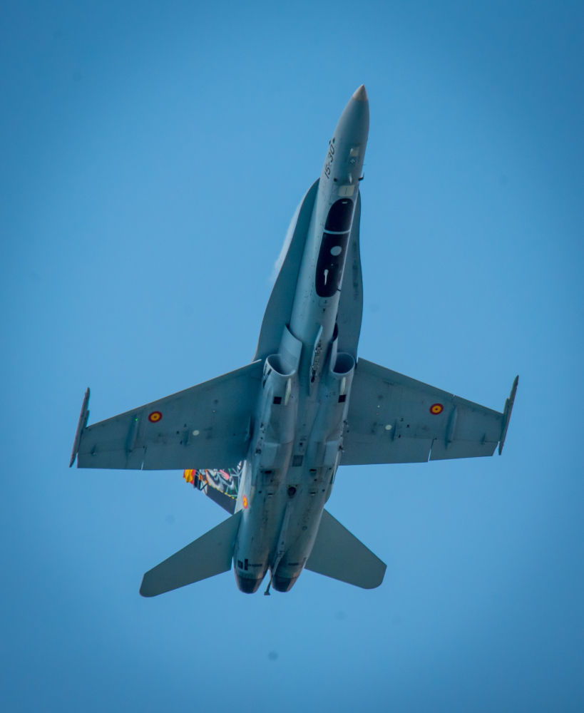 Caza en acción en la Festa del Cel.