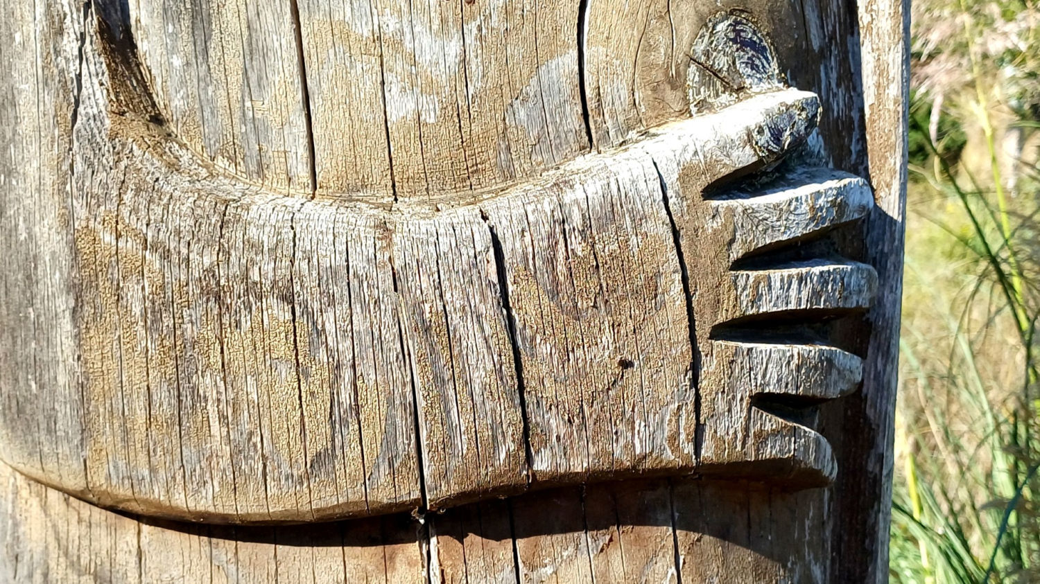 Detalle del brazo y mano del tótem.