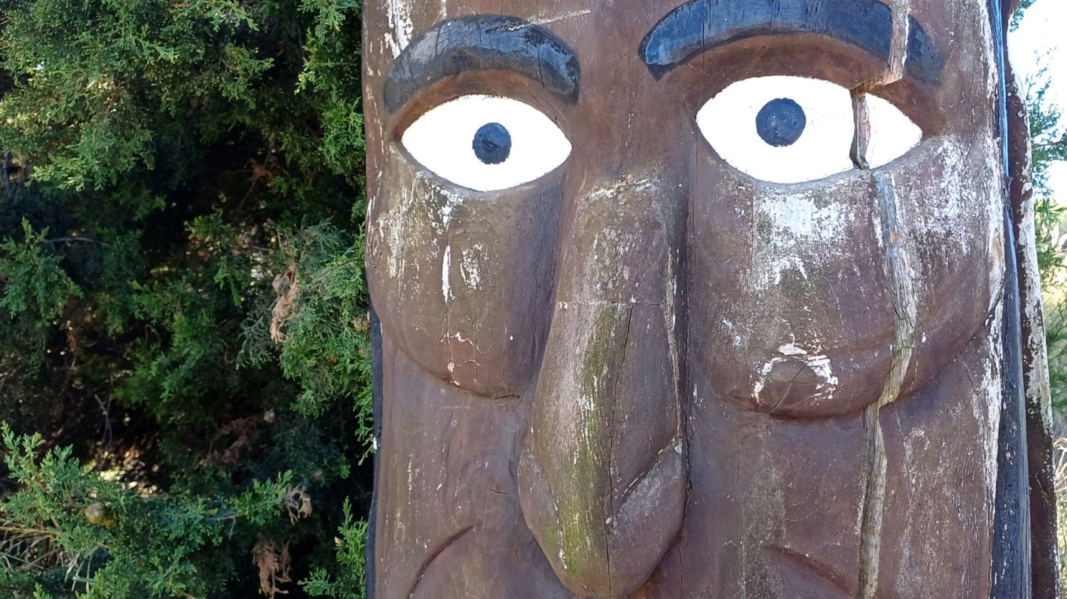 La mirada del tótem.