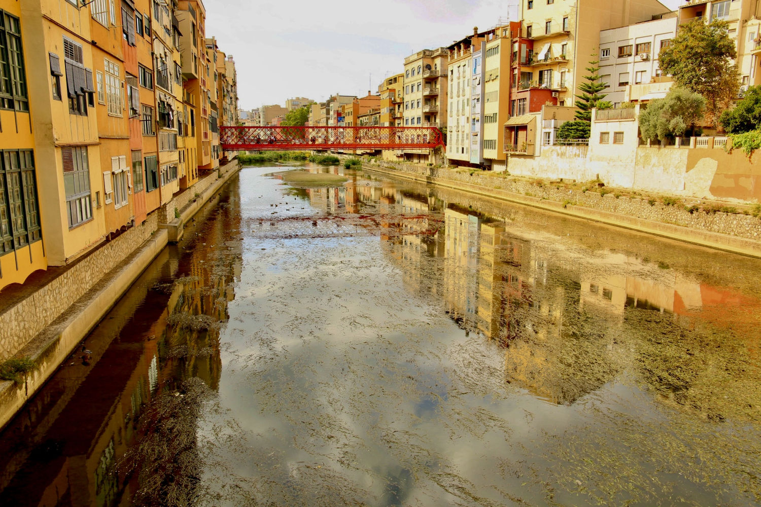 Puente de las Peixateries Velles.