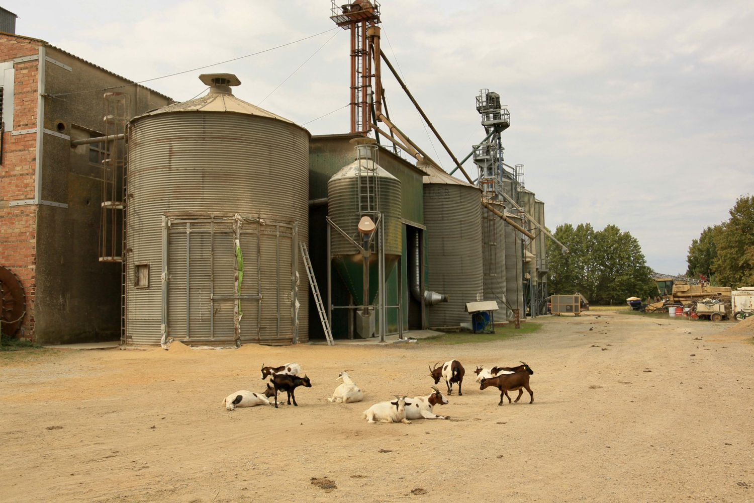 Exterior granja del Molí de Pals
