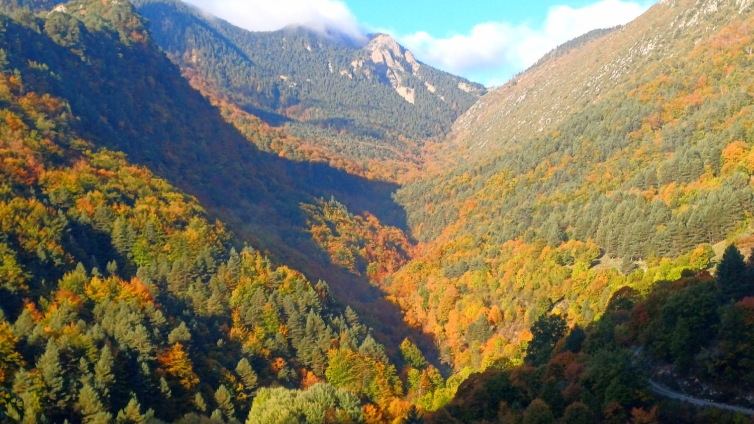 Paisaje otoñal en la Fageda del Gresolet.