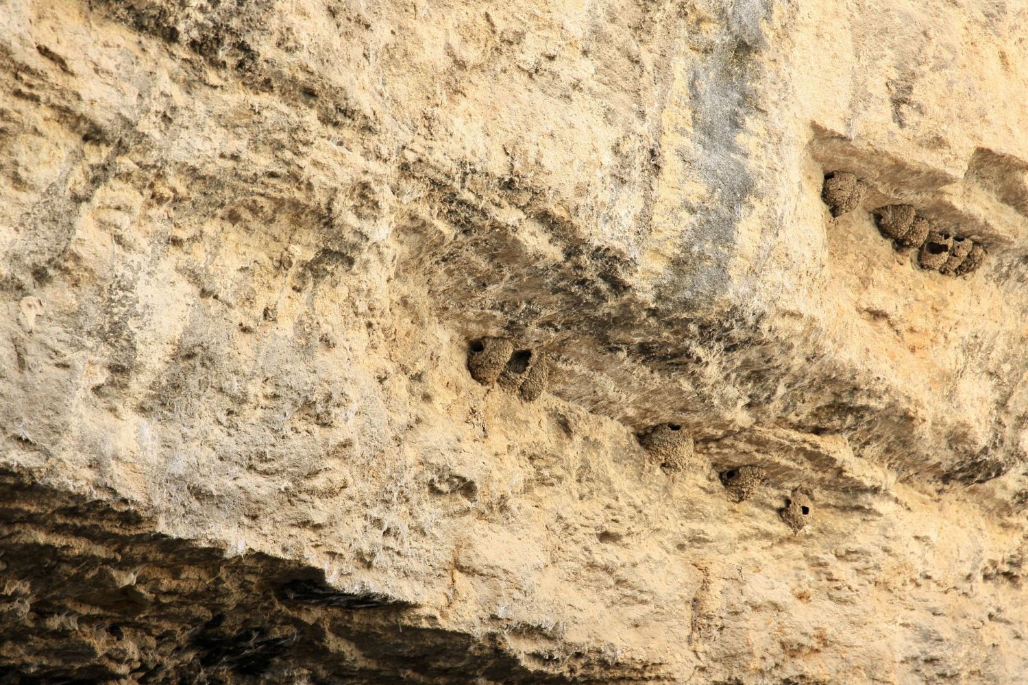 Nidos en la roca de Setenil de las Bodegas.