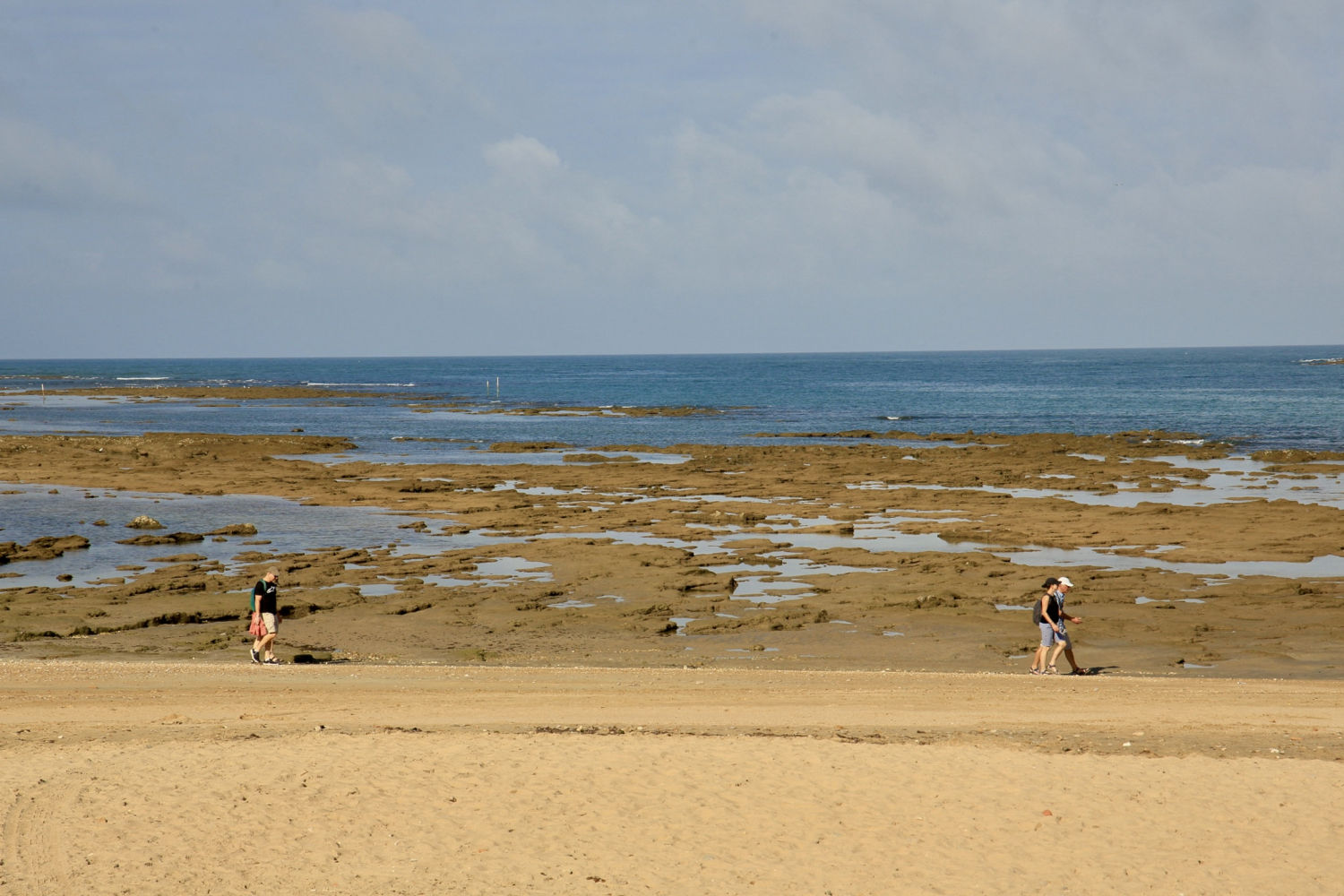 Paseo aprovechando la bajamar, en Cádiz.