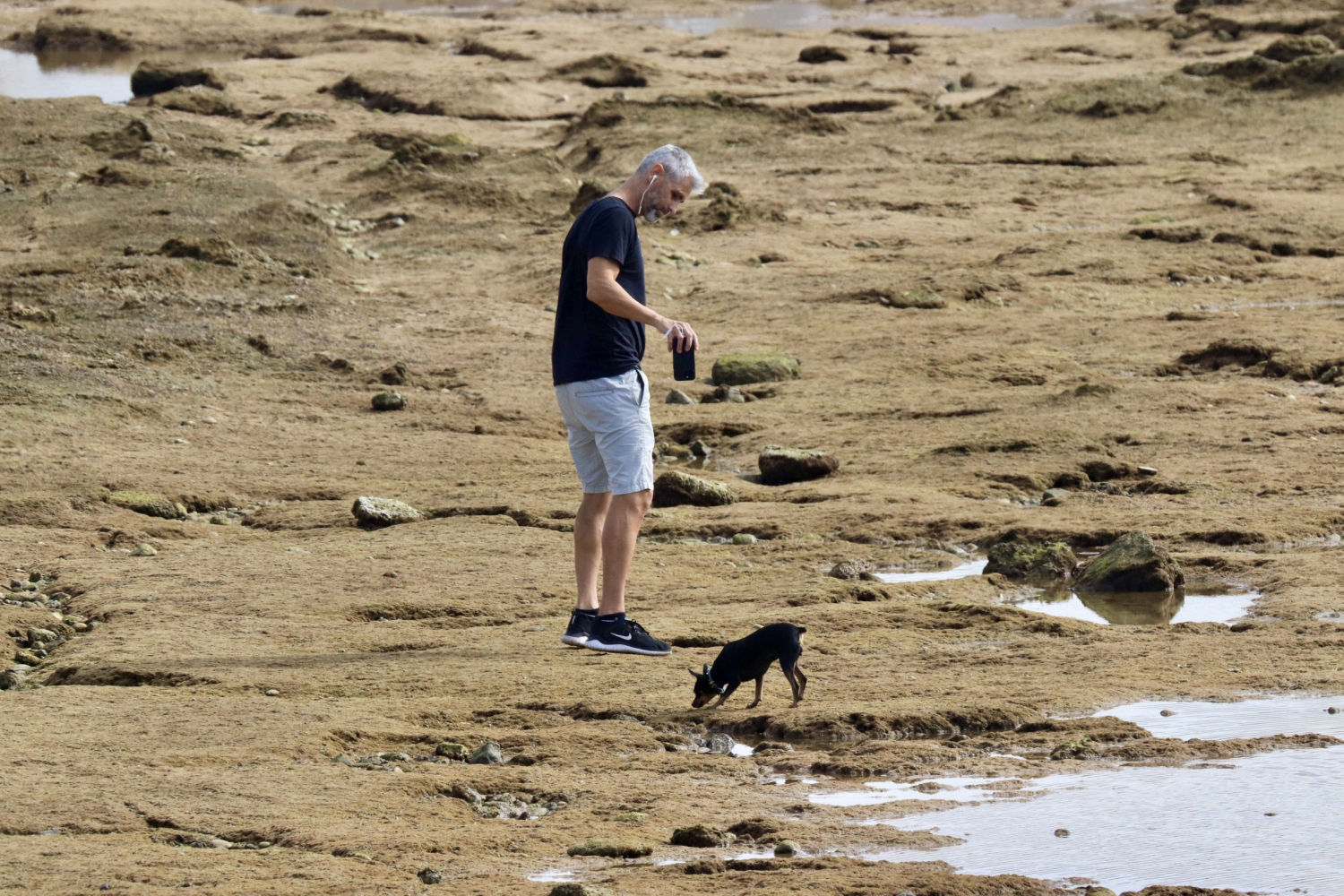 Paseando el perro en la bajamar.
