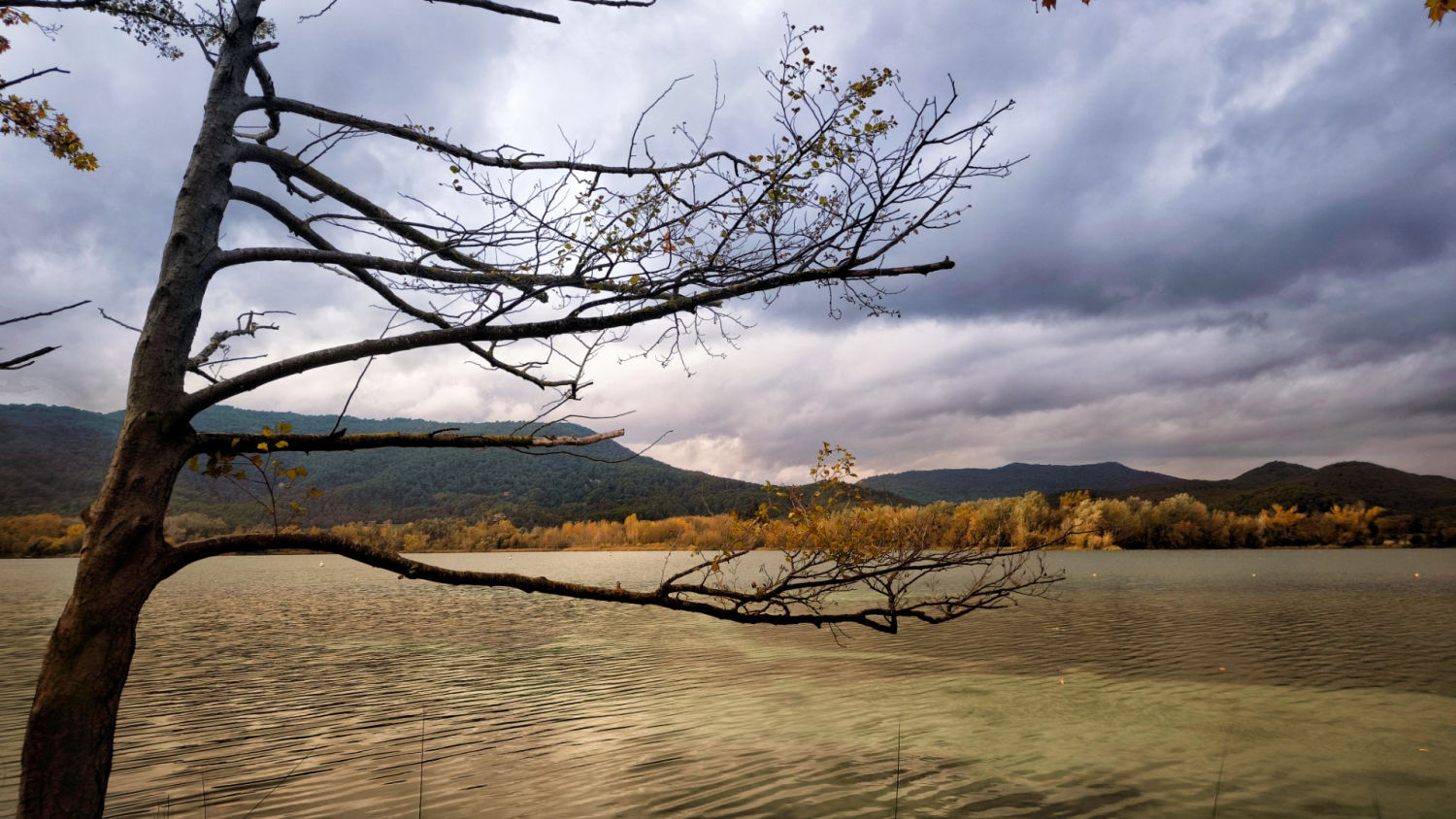 La luz y el color del otoño en el estanque de Banyoles.
