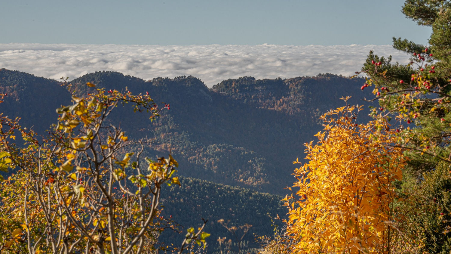 Mar de niebla en el horizonte del Berguedà.