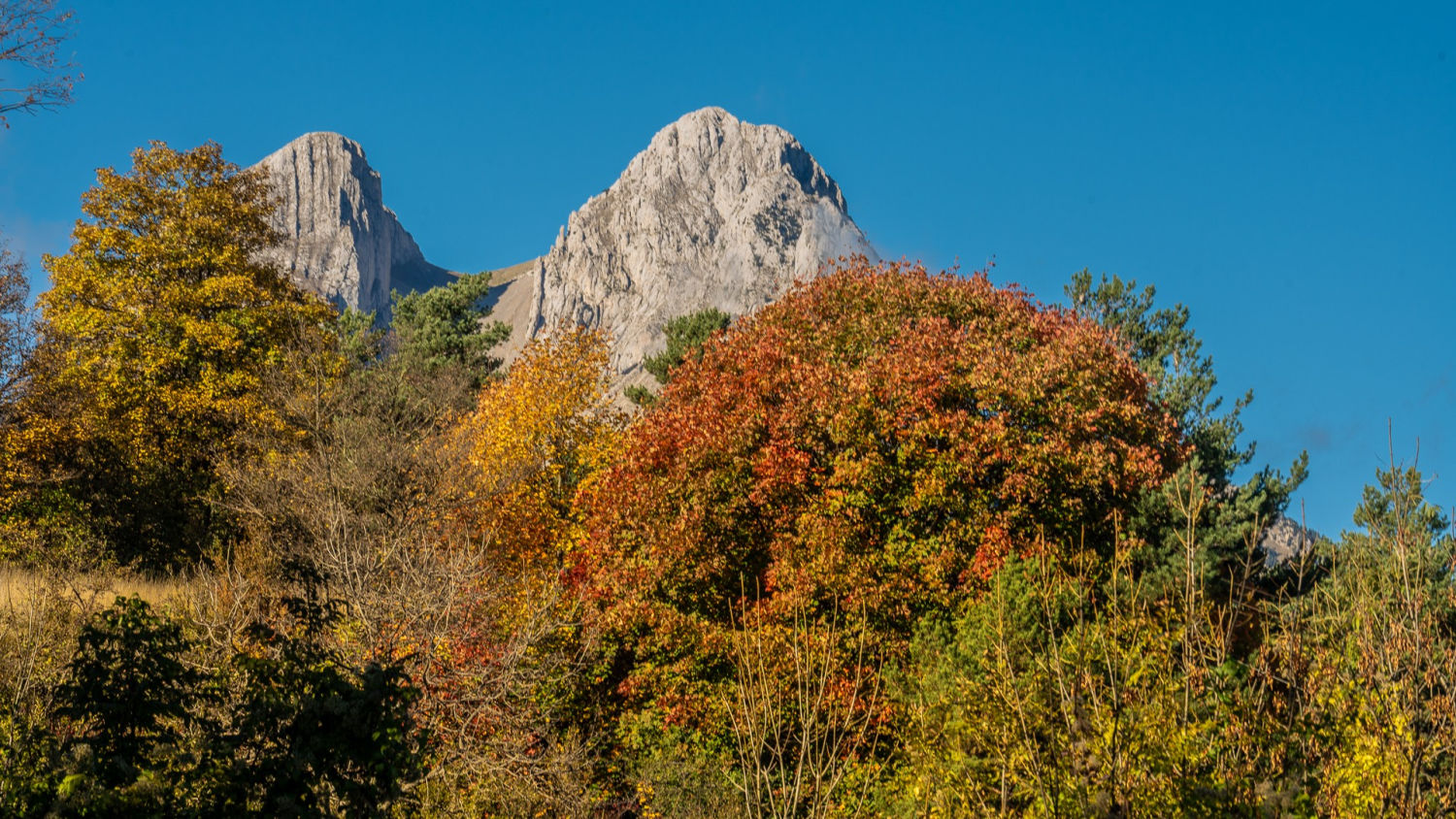El otoño del Pedraforca.