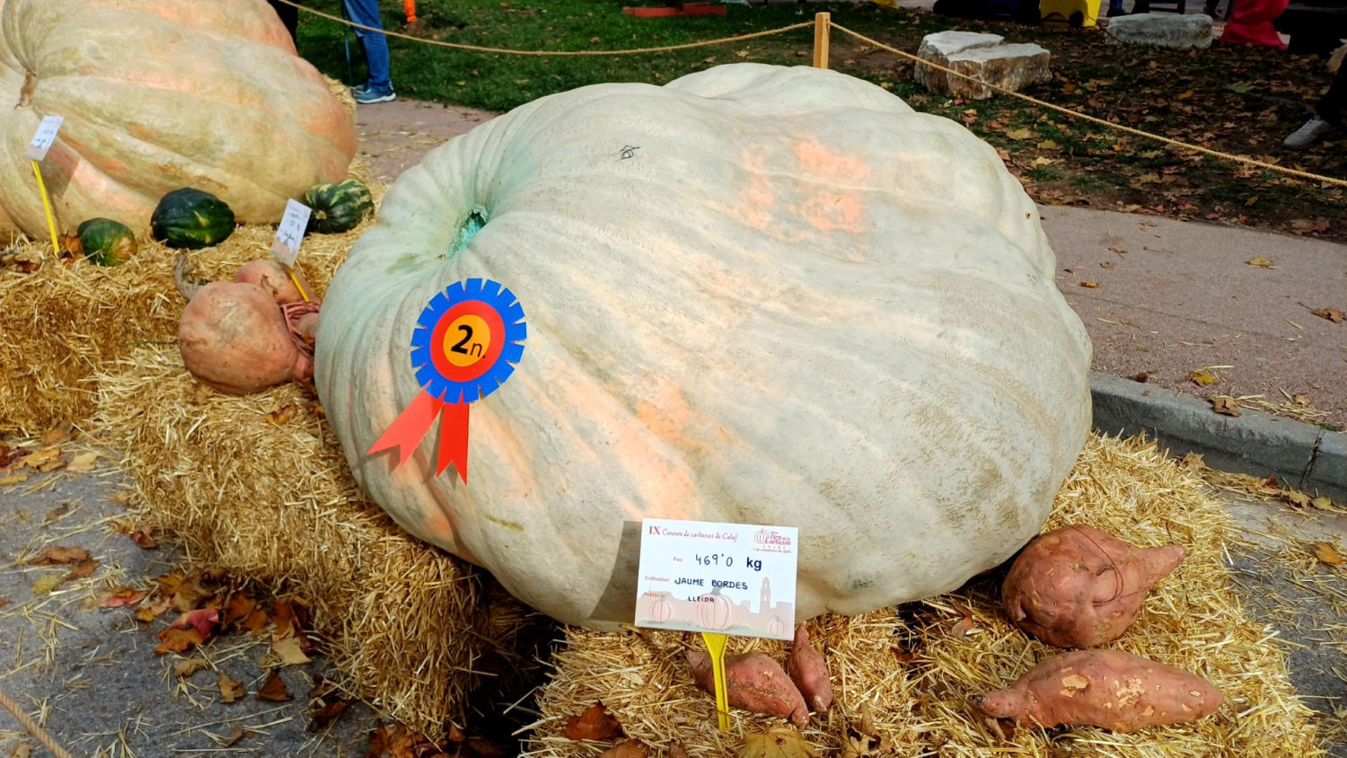 Segundo premio del concurso de la Fira de la Carbassa de Calaf.