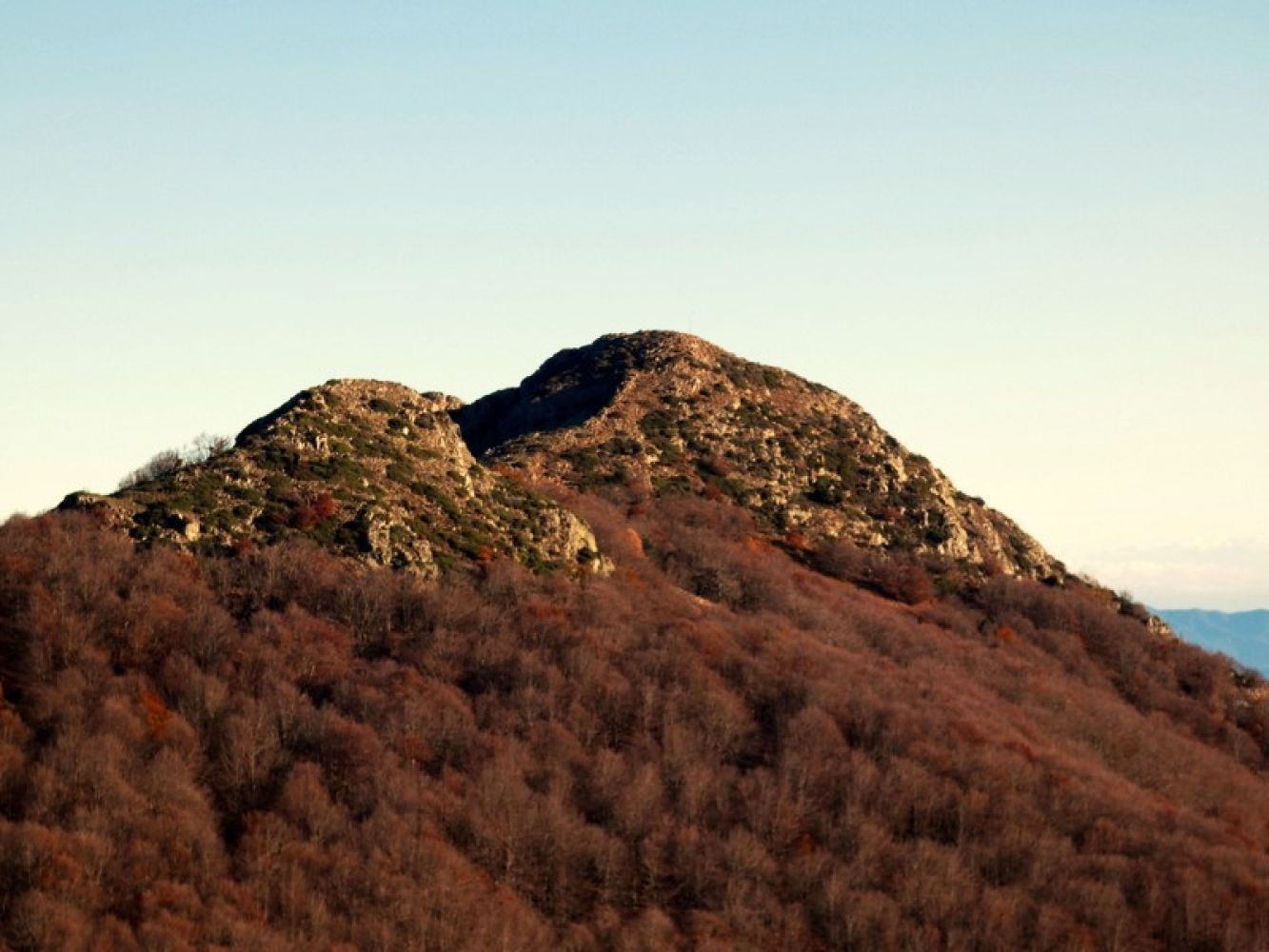 Otoño en el Turó de l'Home.