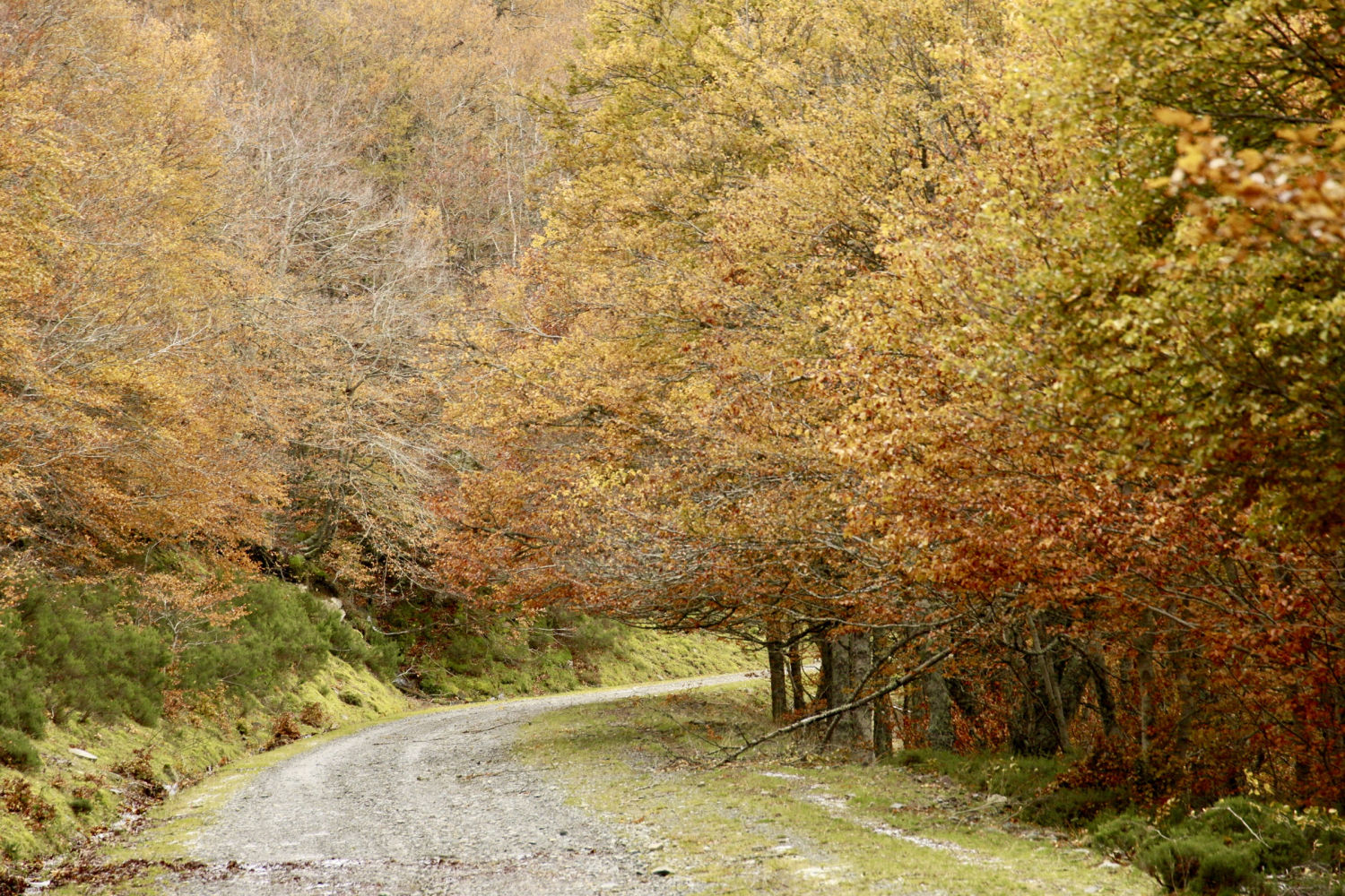Siguiendo el camino, en Ezcaray.